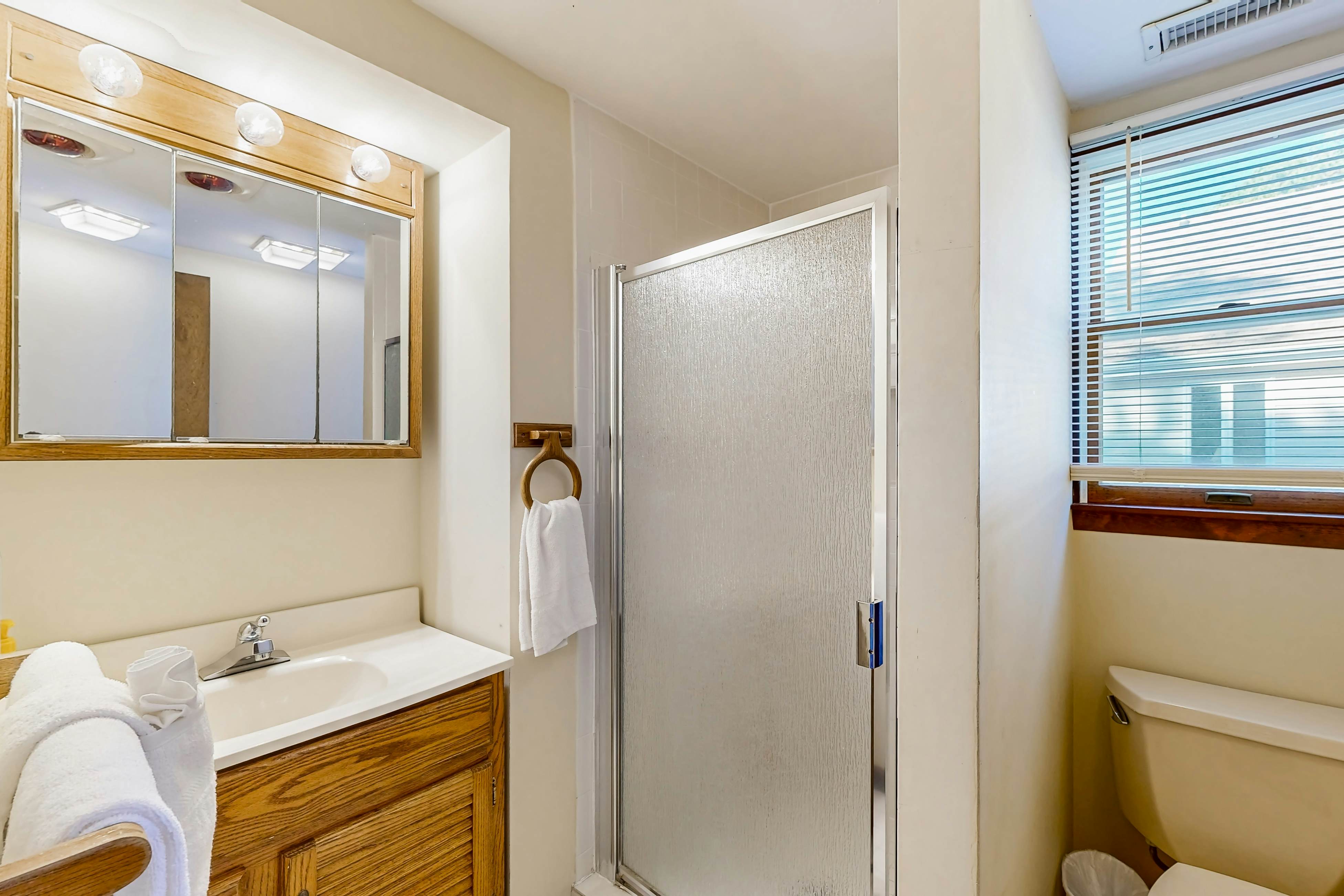 Battersea on the Canal