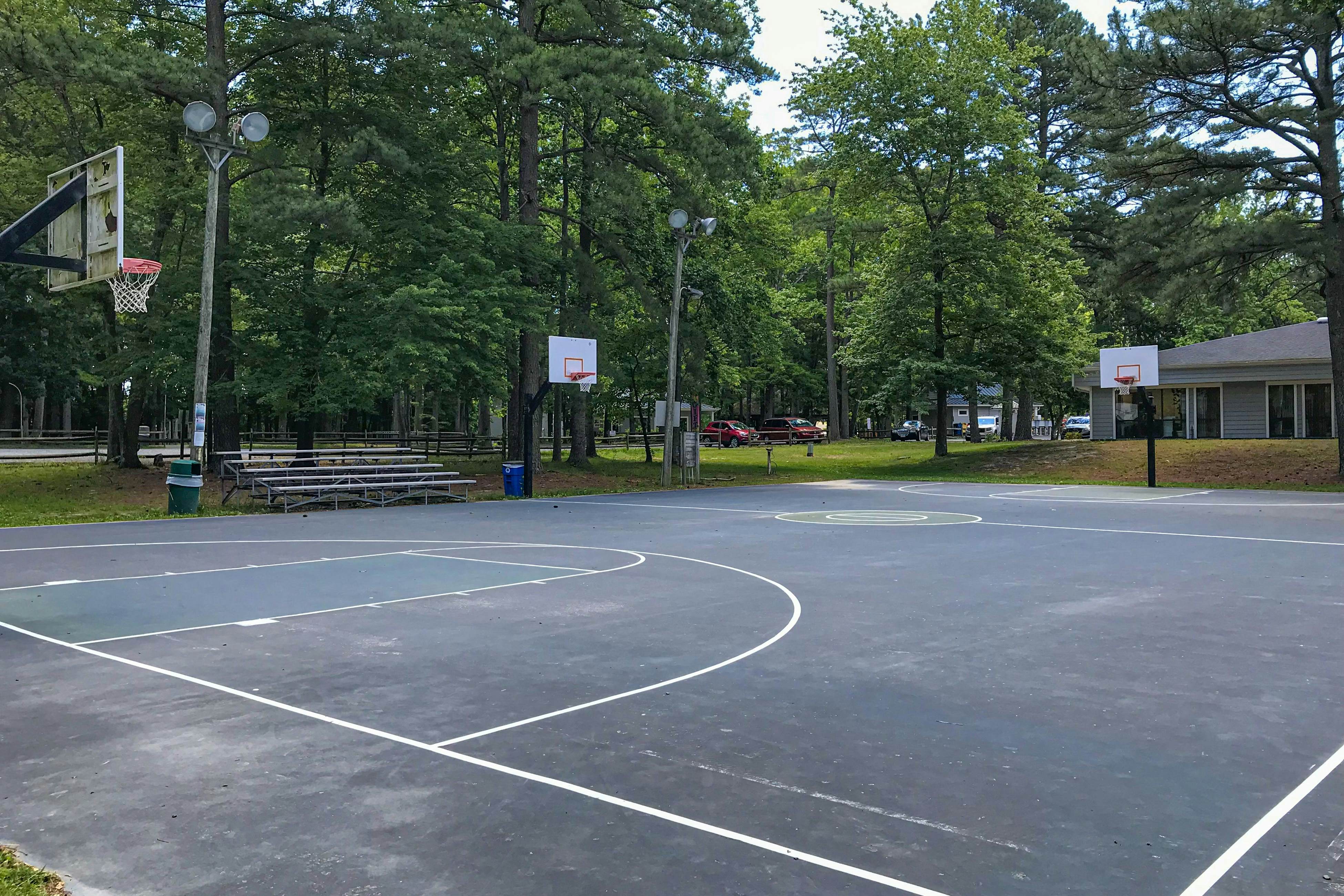 Battersea on the Canal