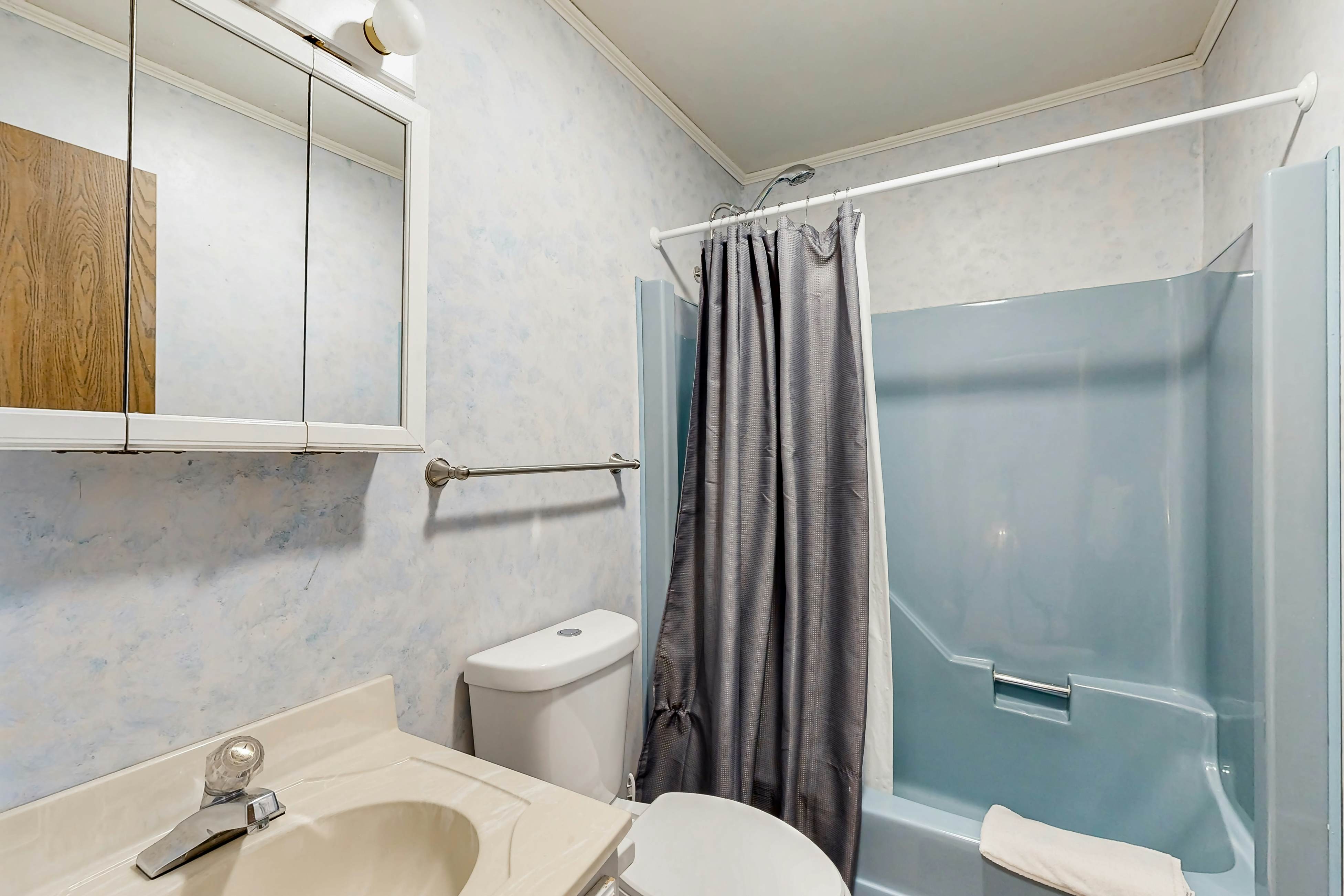 Battersea on the Canal