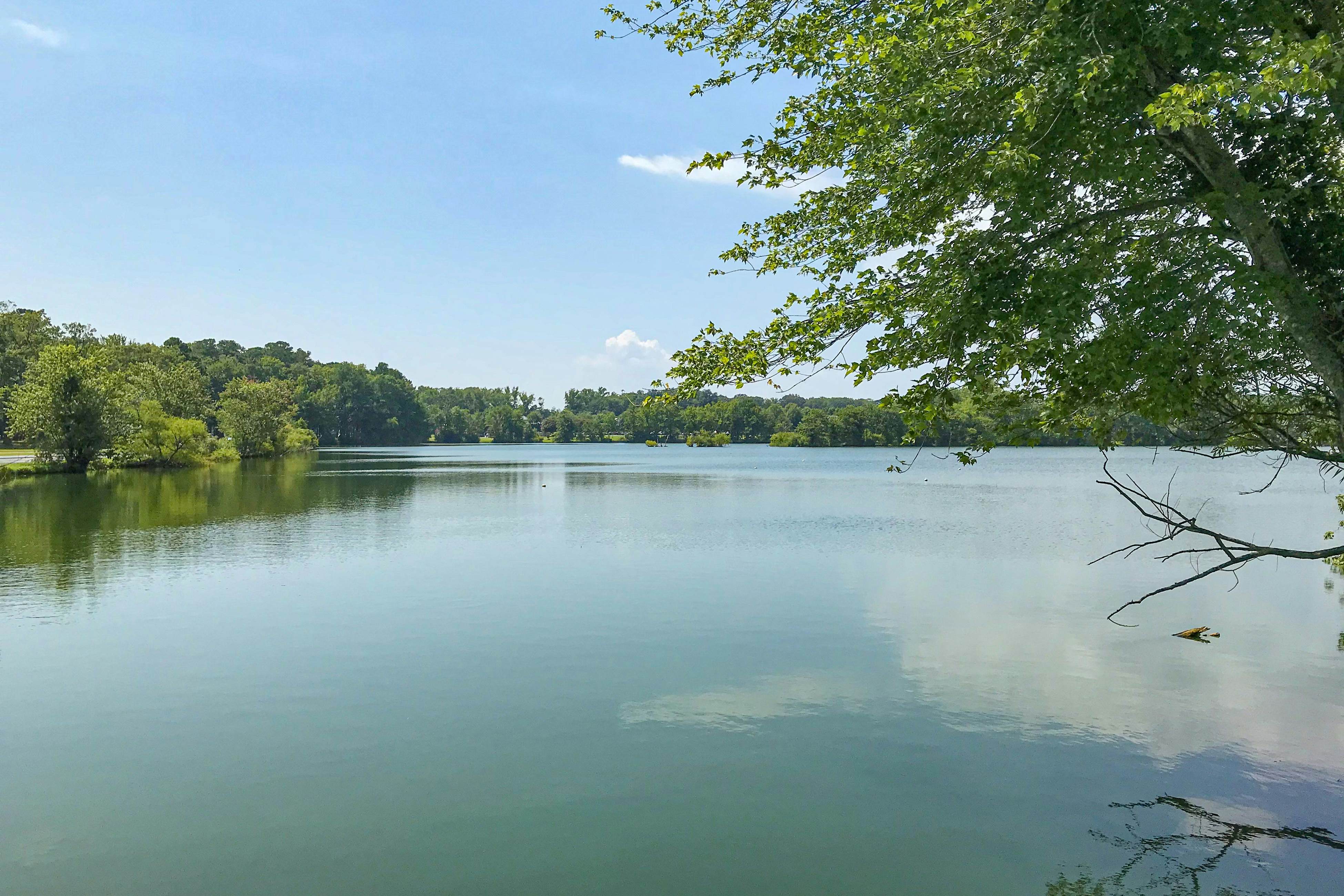 Battersea on the Canal