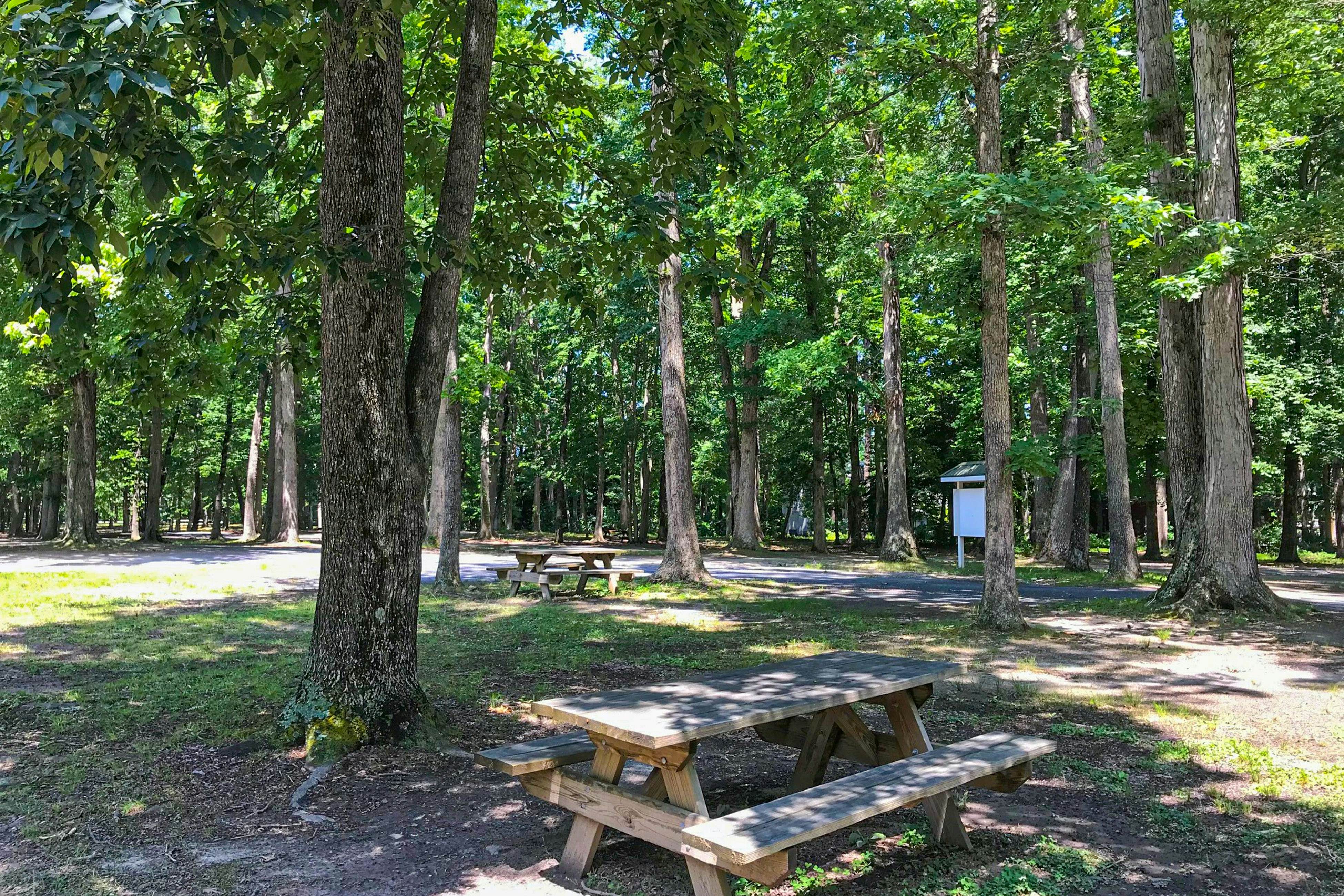 Battersea on the Canal