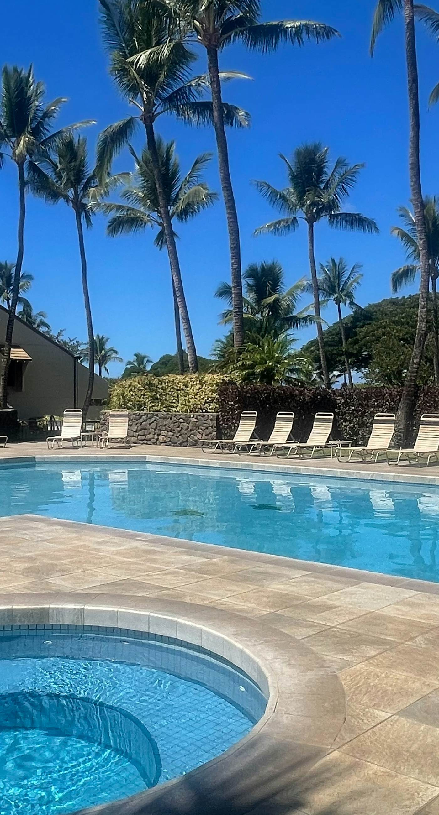 Maui Kamaole K205
