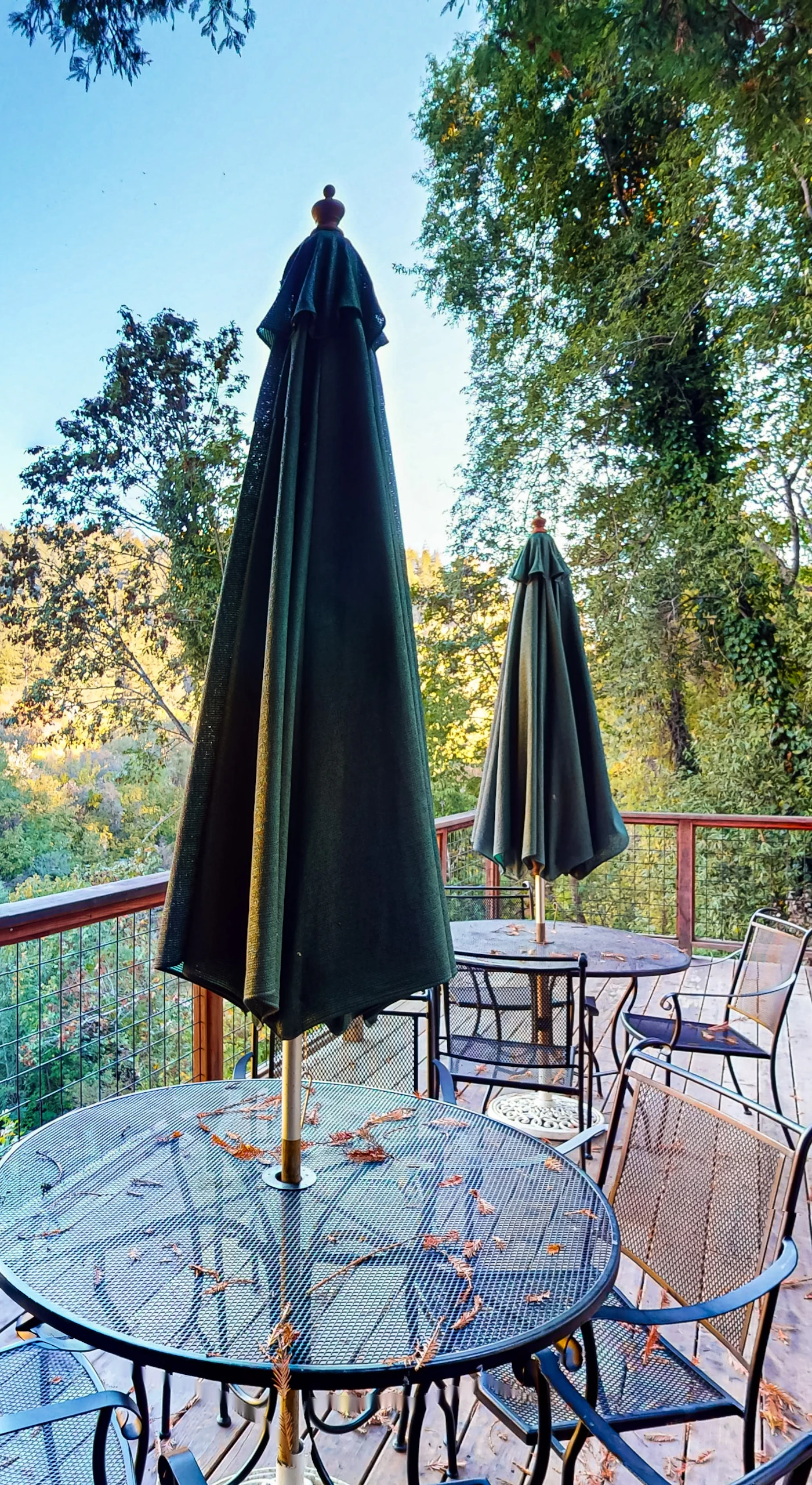 Sip your morning coffee at the elevated deck table while redwood-studded hillsides unfold before you — your private balcony above the Russian River canopy.