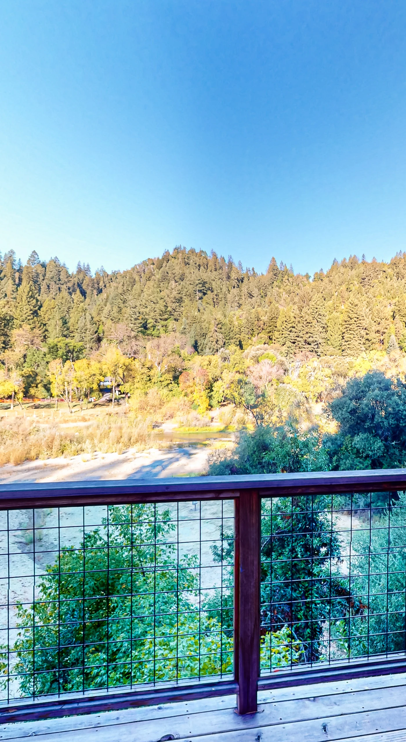 Lean into the cable railing and let the river valley panorama steal your breath — forested ridgelines and the shimmering Russian River below your deck.