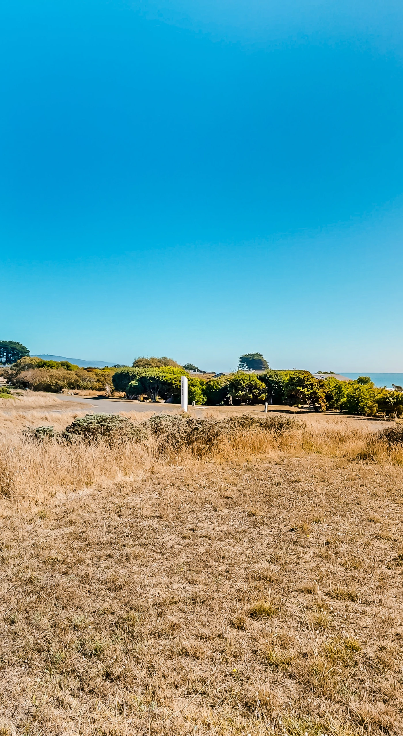 Gaze across the open landscape, where the beauty of Sea Ranch unfolds, inviting you to explore nearby trails and beaches.