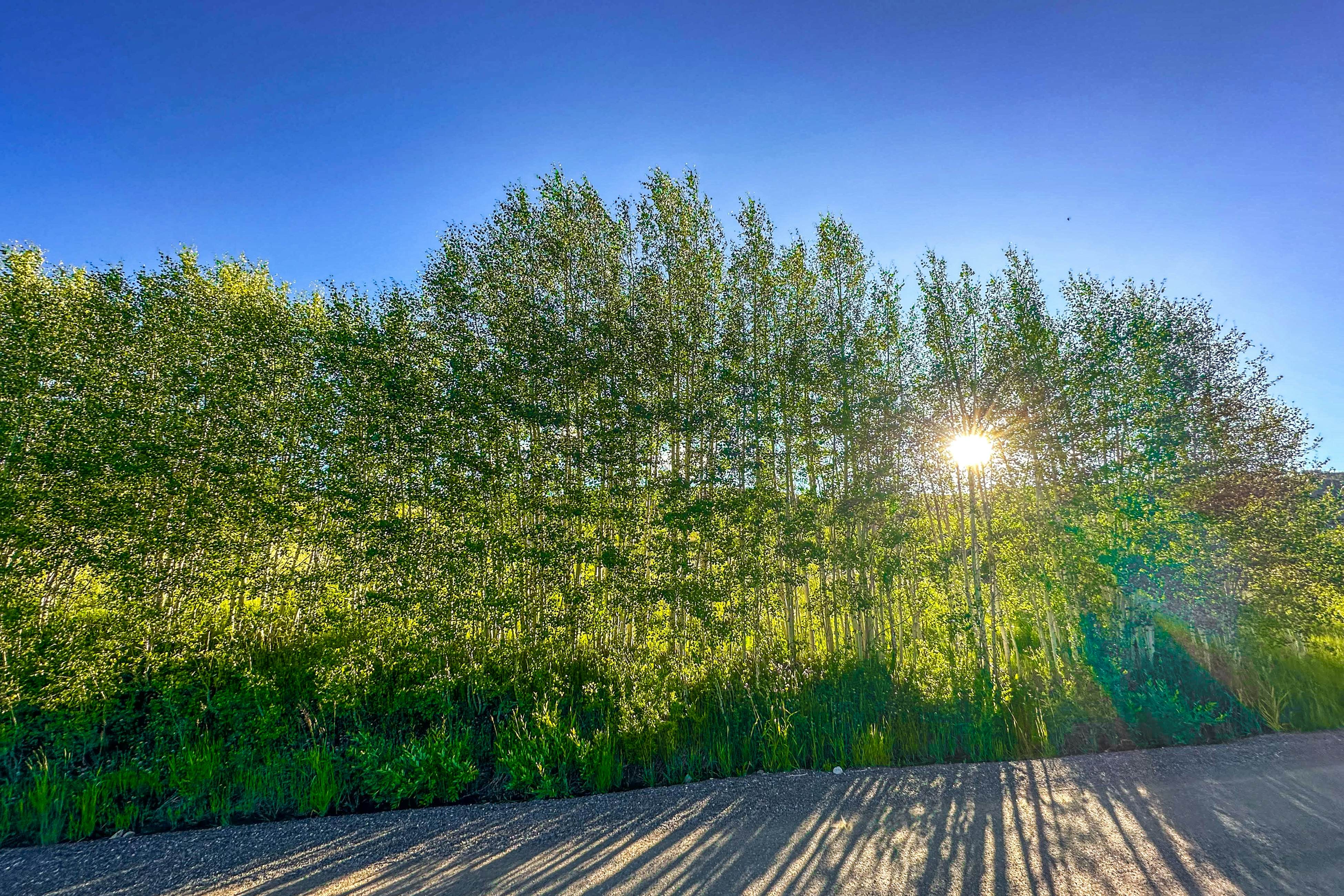 A Slice of Silverthorne