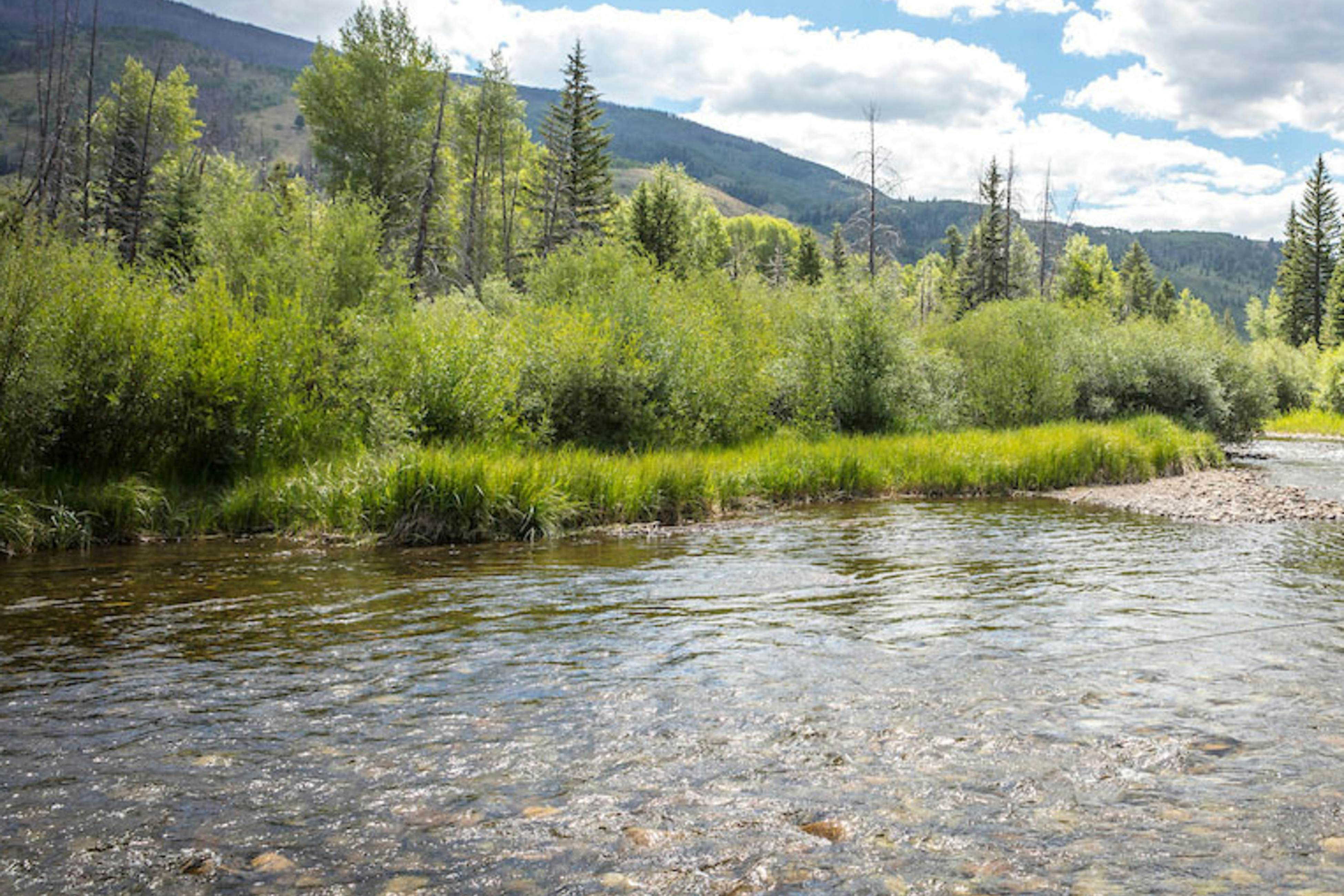 A Slice of Silverthorne