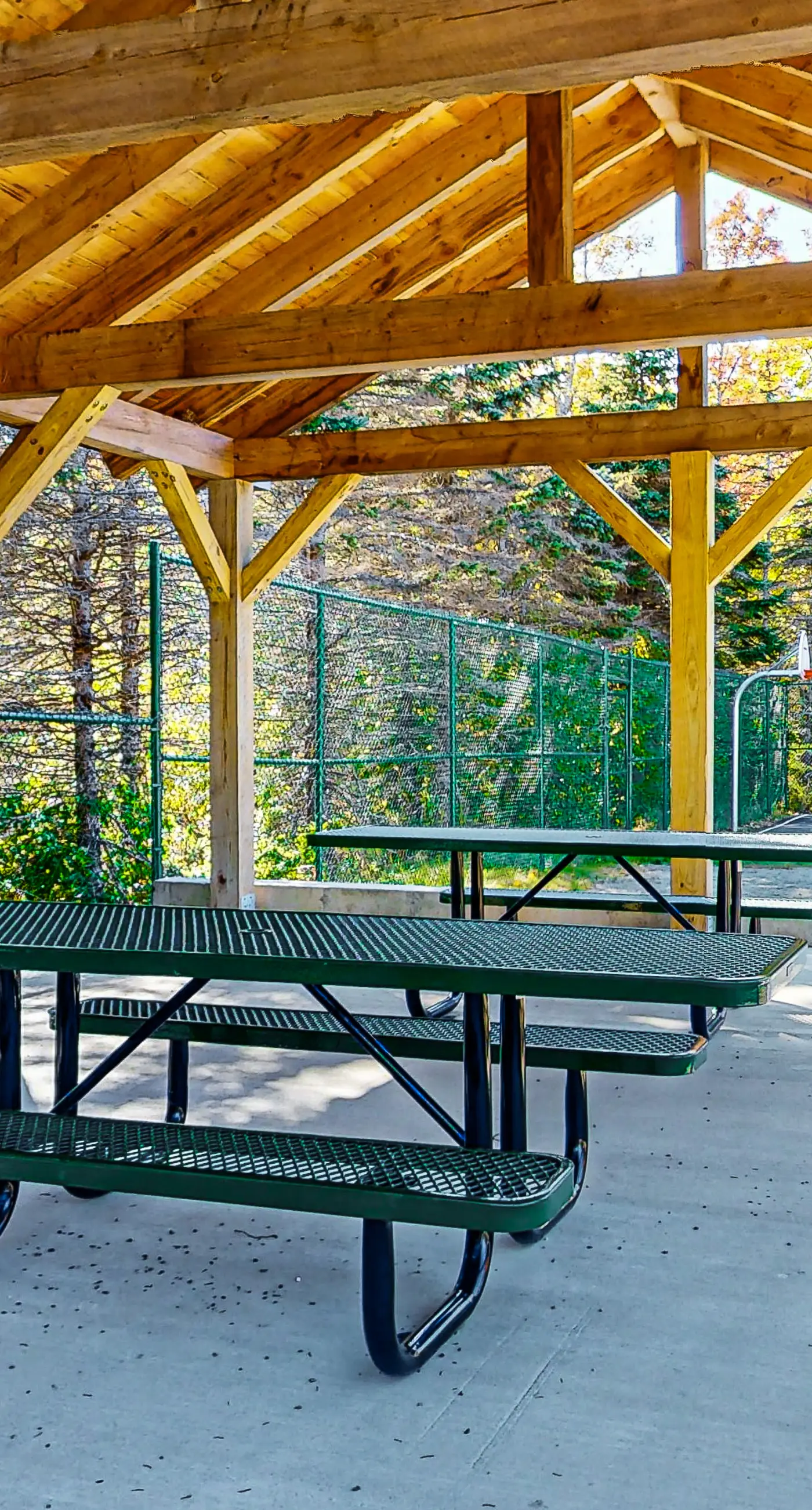 Sugar Maple Cabin 71