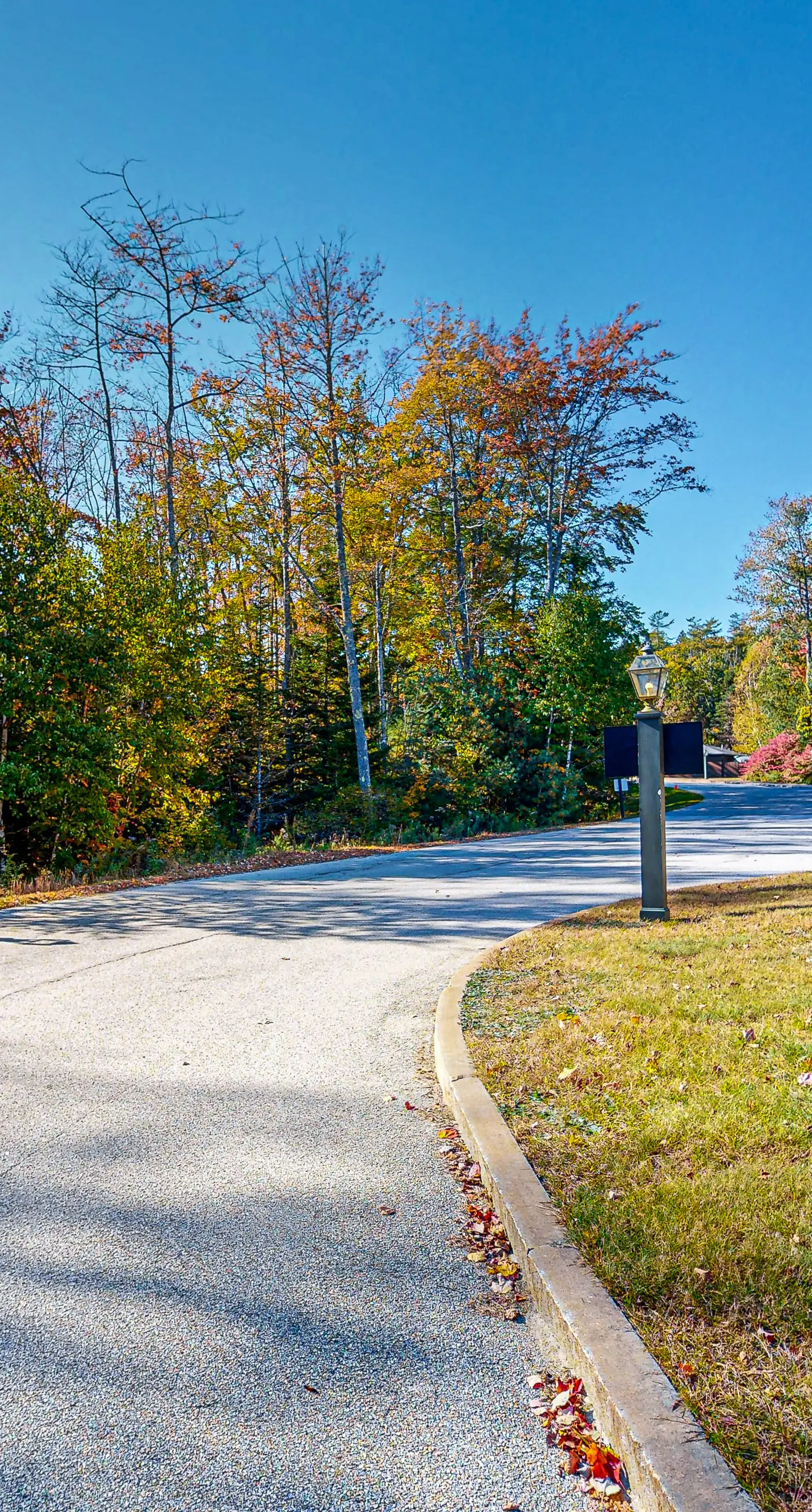 Sugar Maple Cabin 71