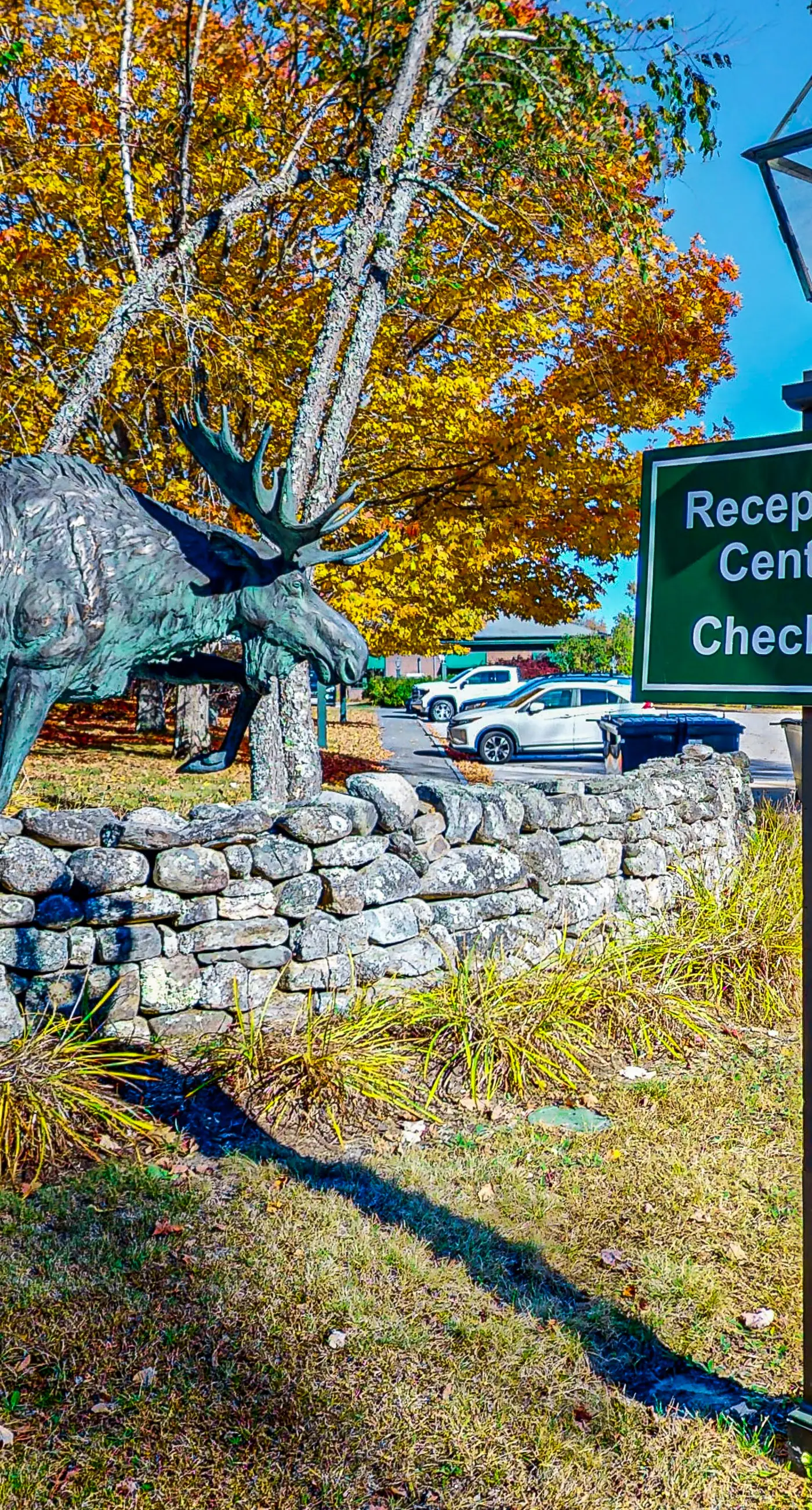 Sugar Maple Cabin 71