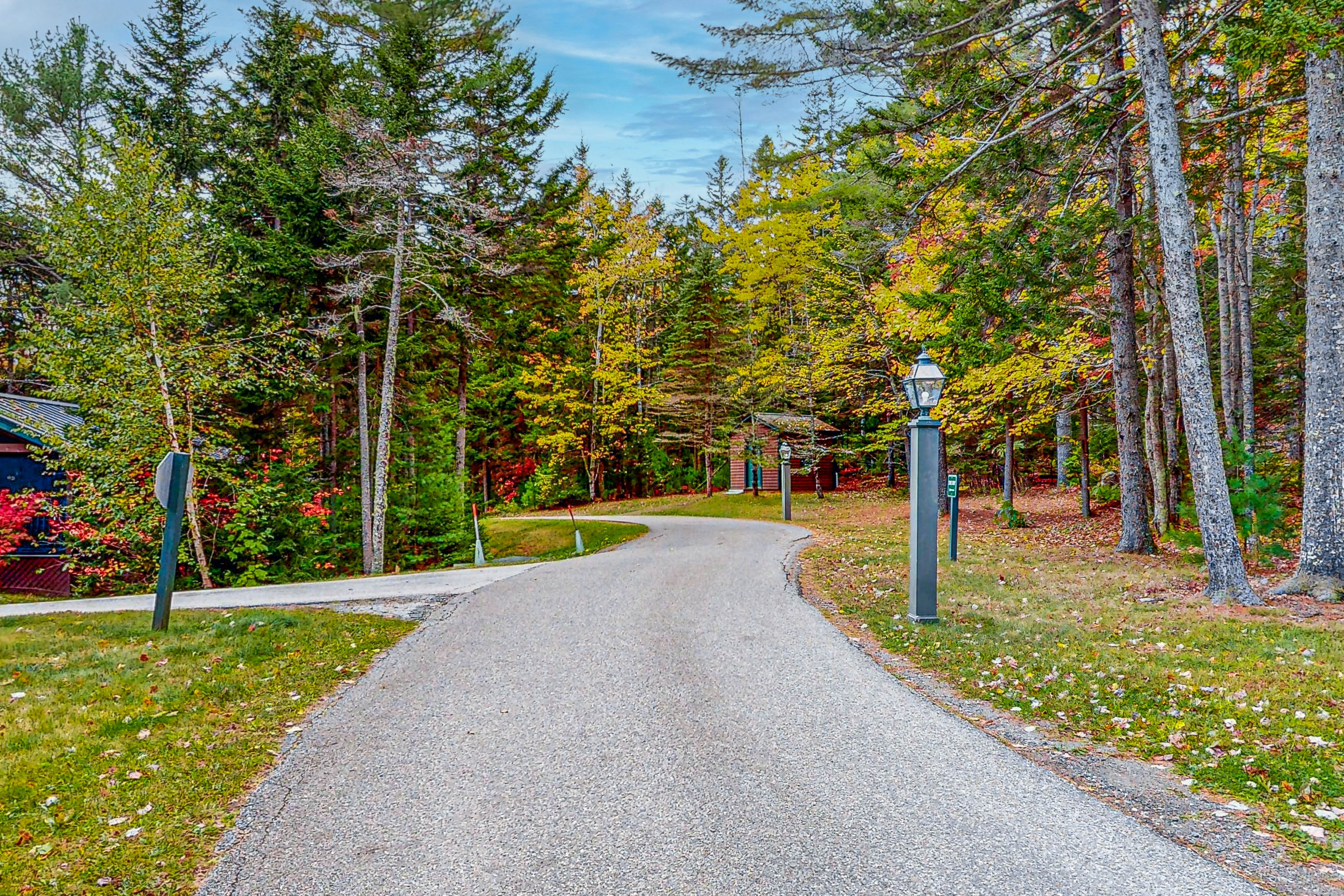 White Birch Cabin 93