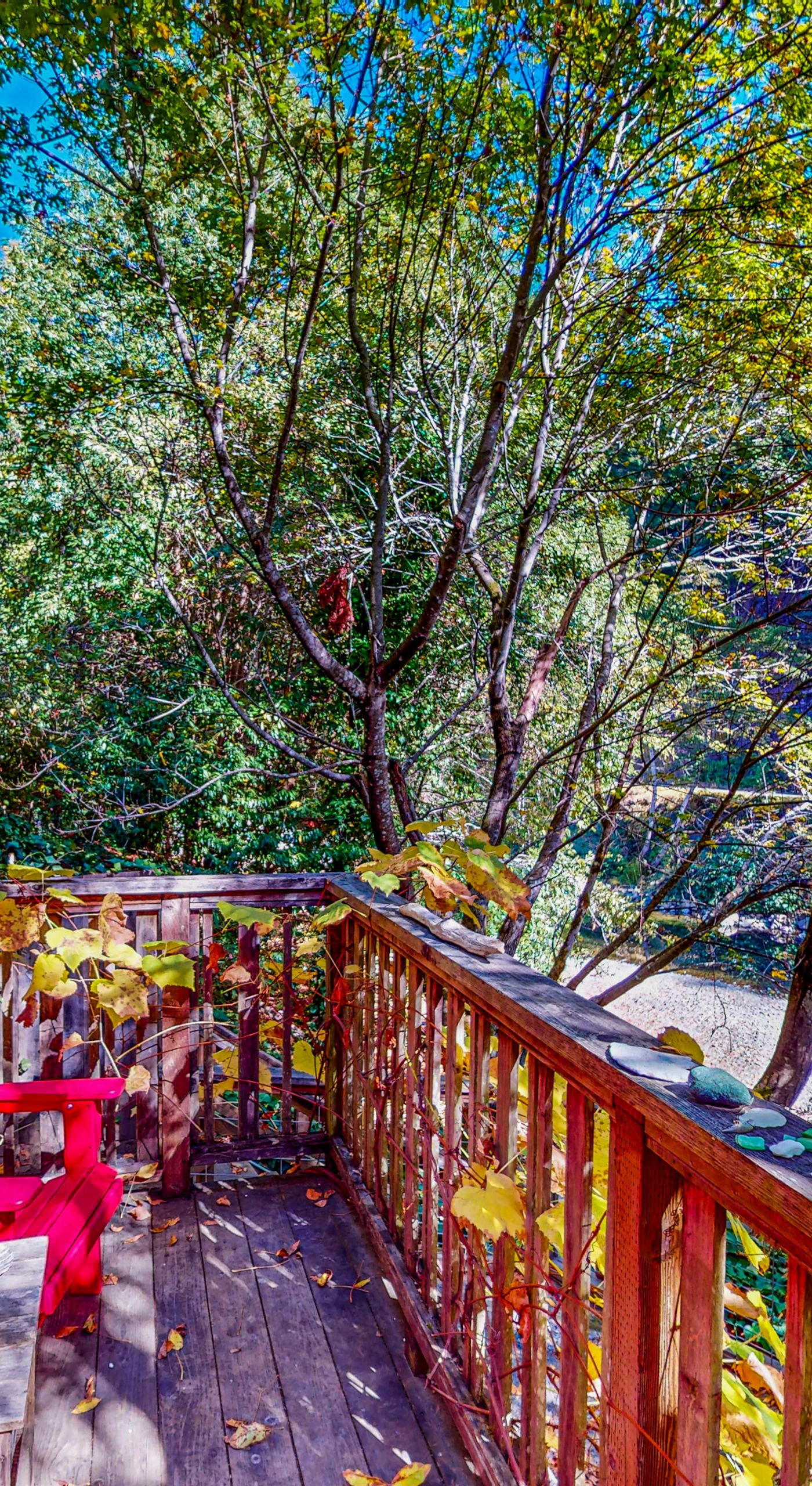 Pull up a red Adirondack chair on your creekside deck — watch the water tumble over stones while sipping a Sonoma County pour.