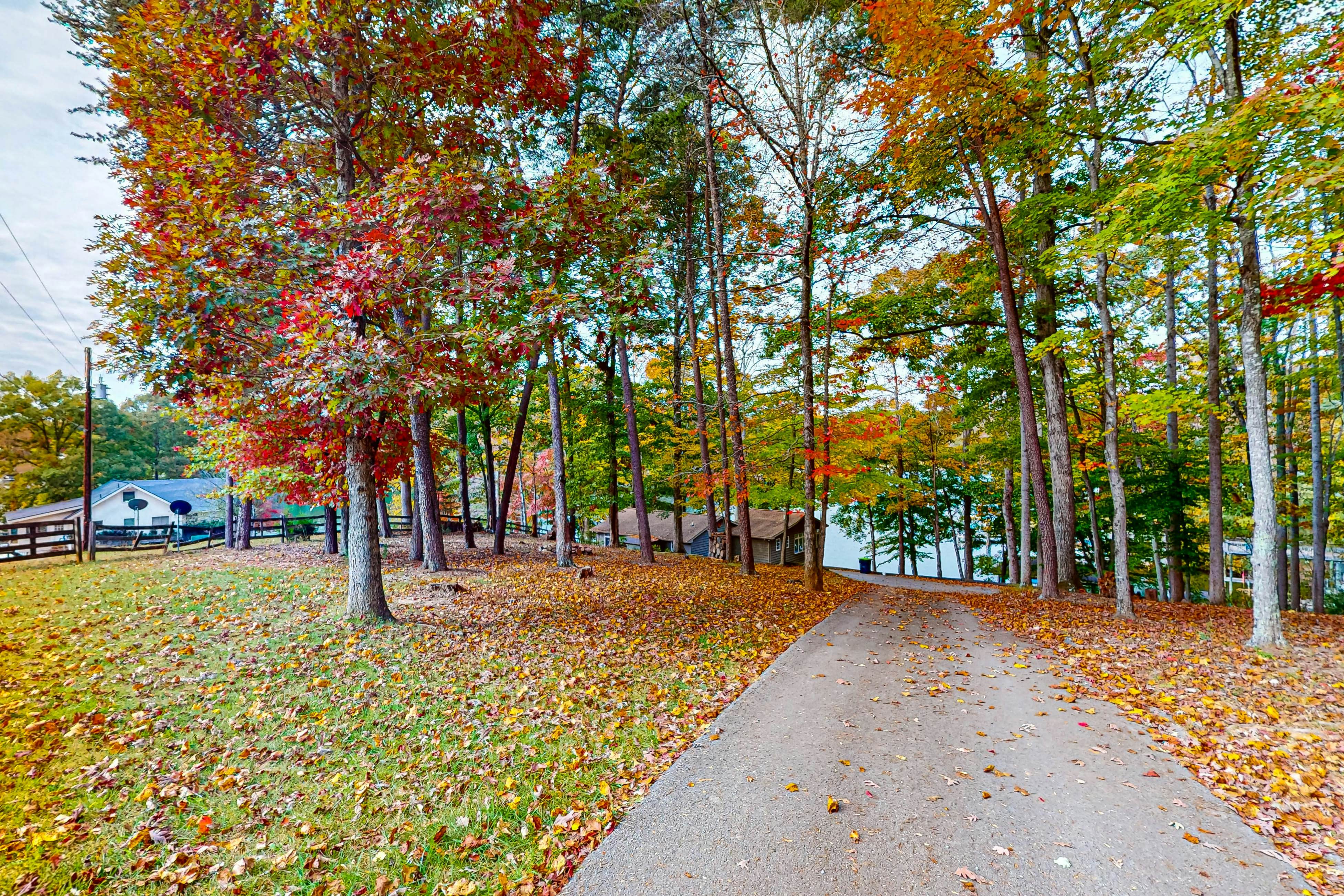 Bears Den at Acorn Dr