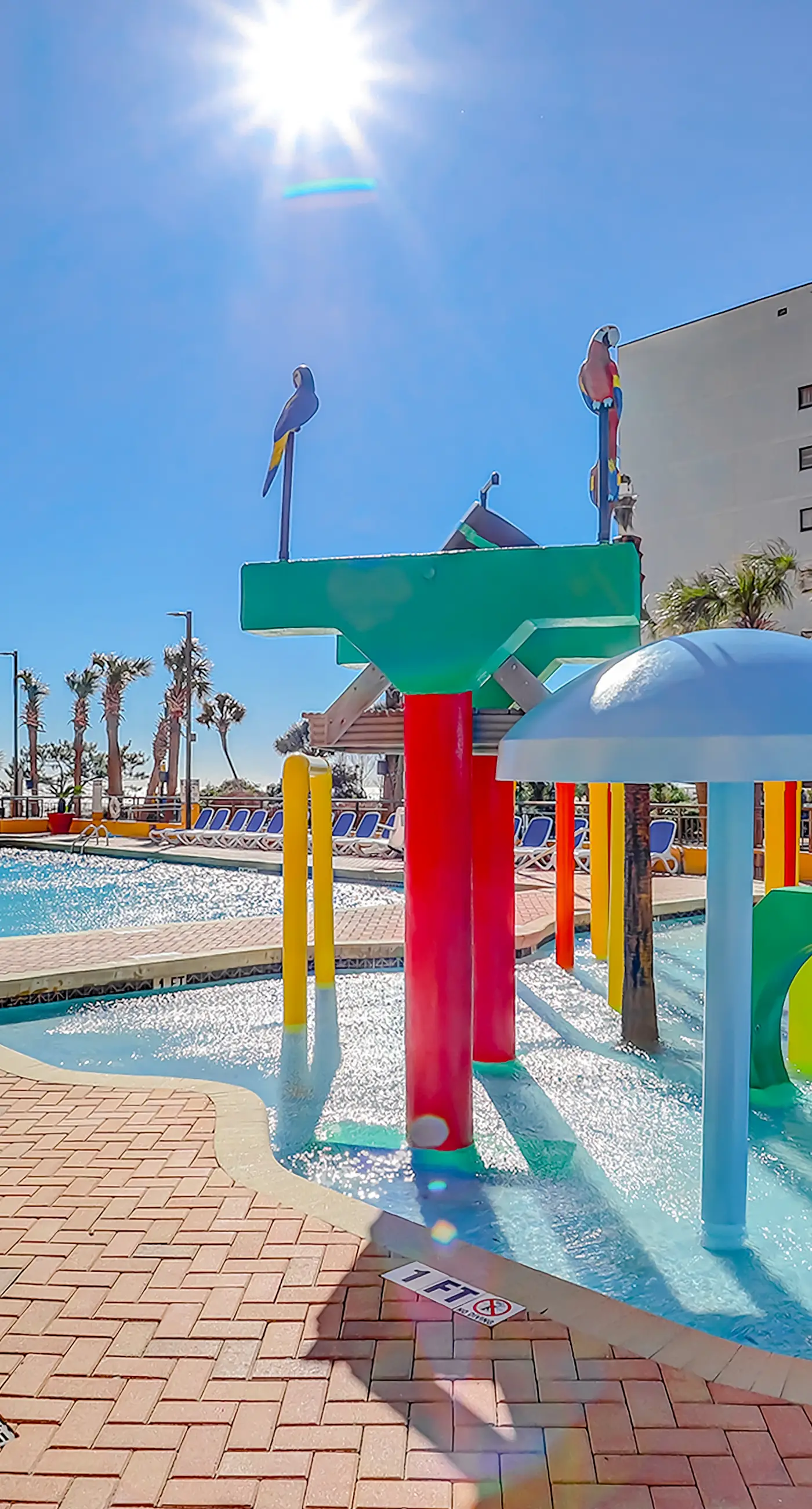 Here's Your 5 O'Clock Somewhere