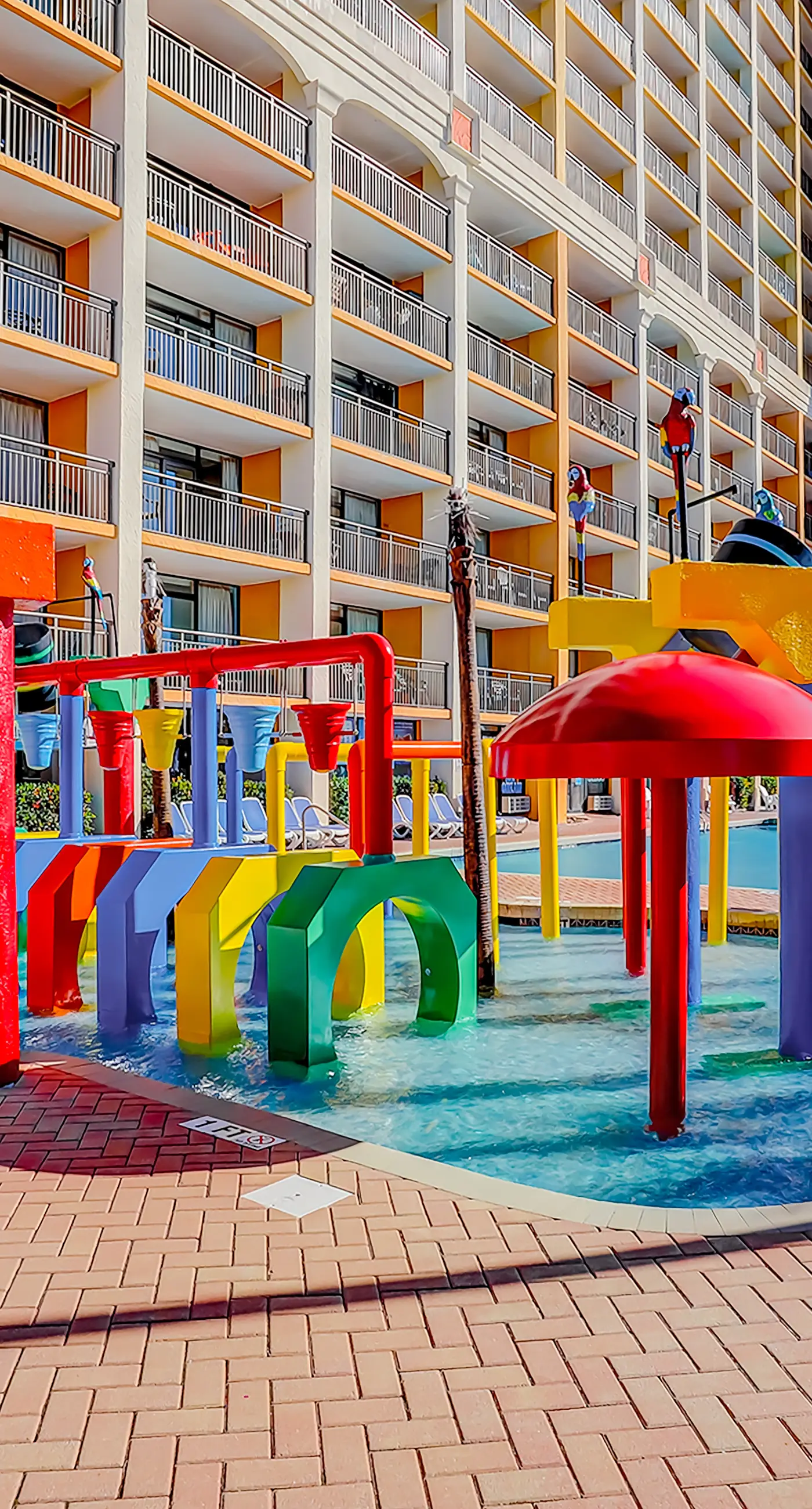 Here's Your 5 O'Clock Somewhere