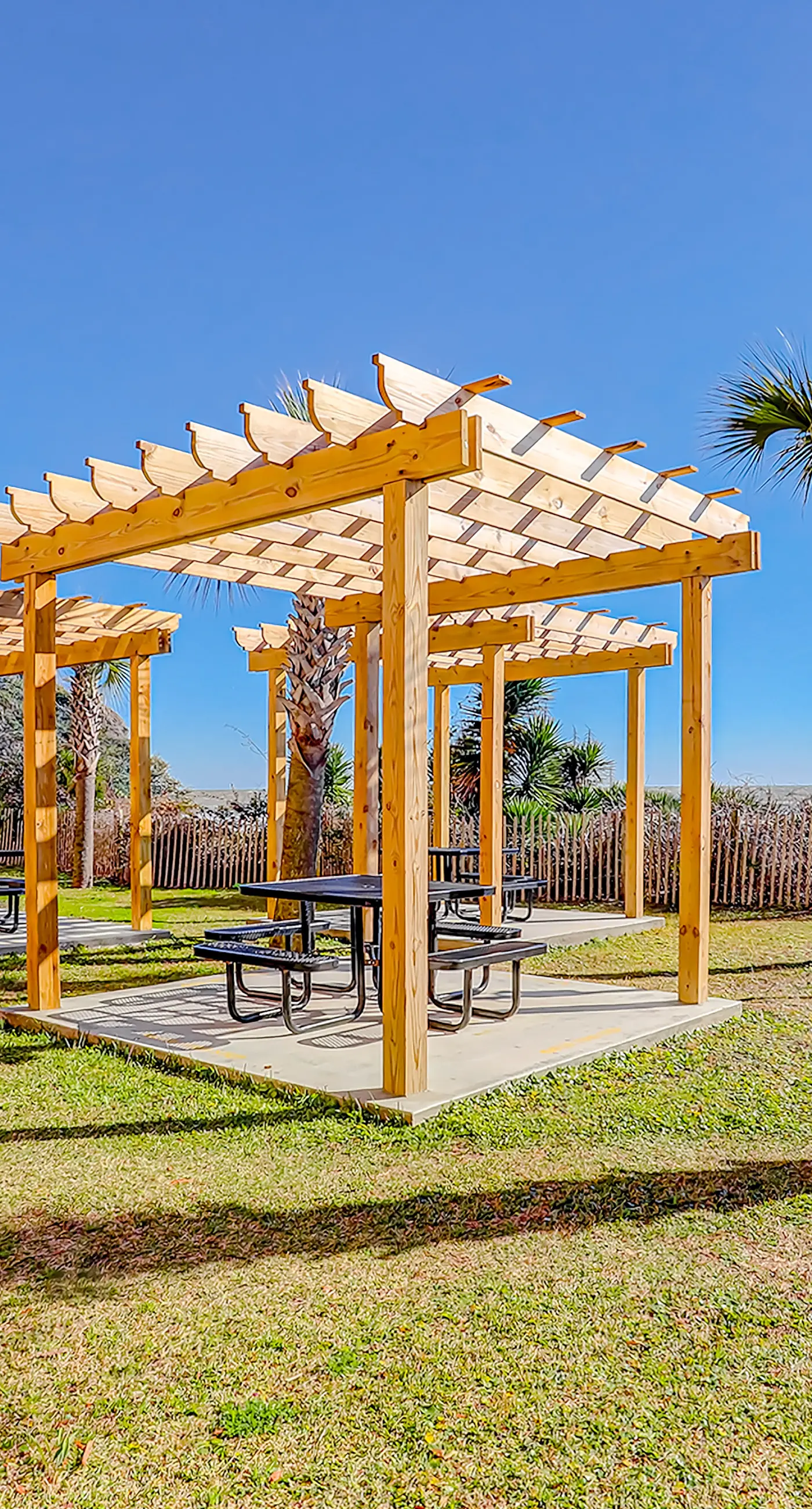 Here's Your 5 O'Clock Somewhere