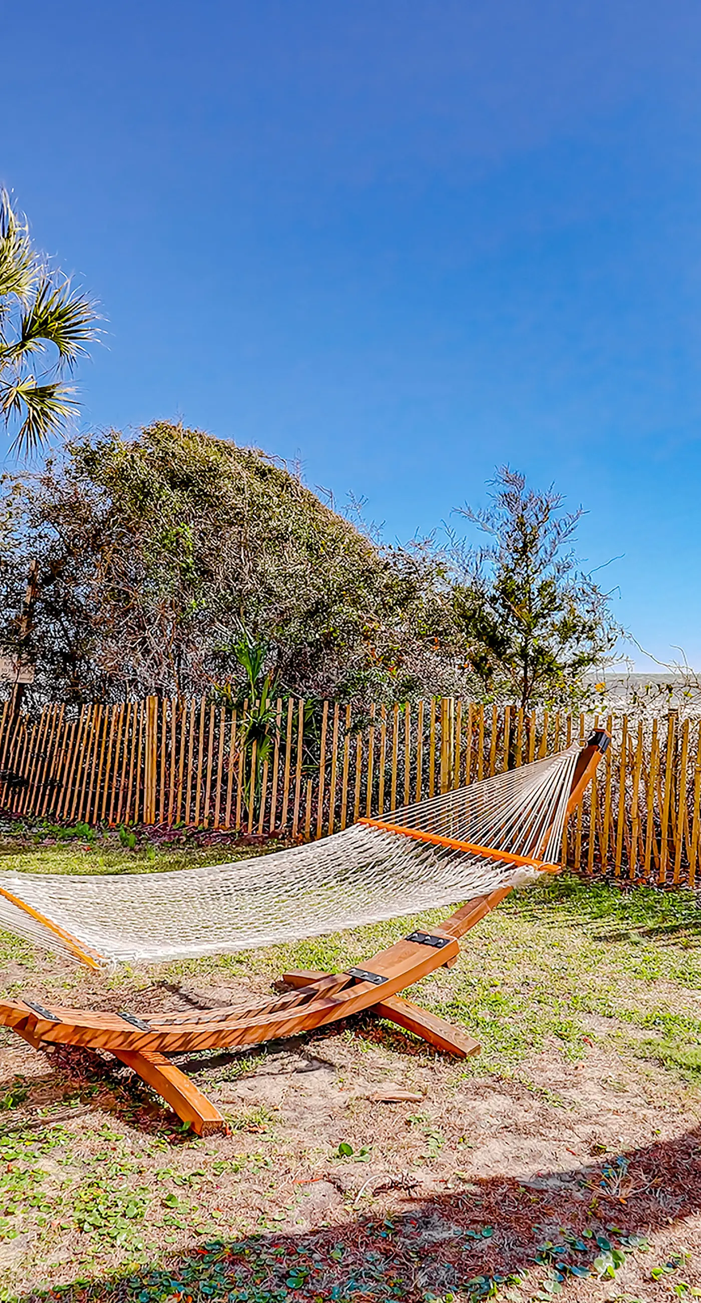 Here's Your 5 O'Clock Somewhere