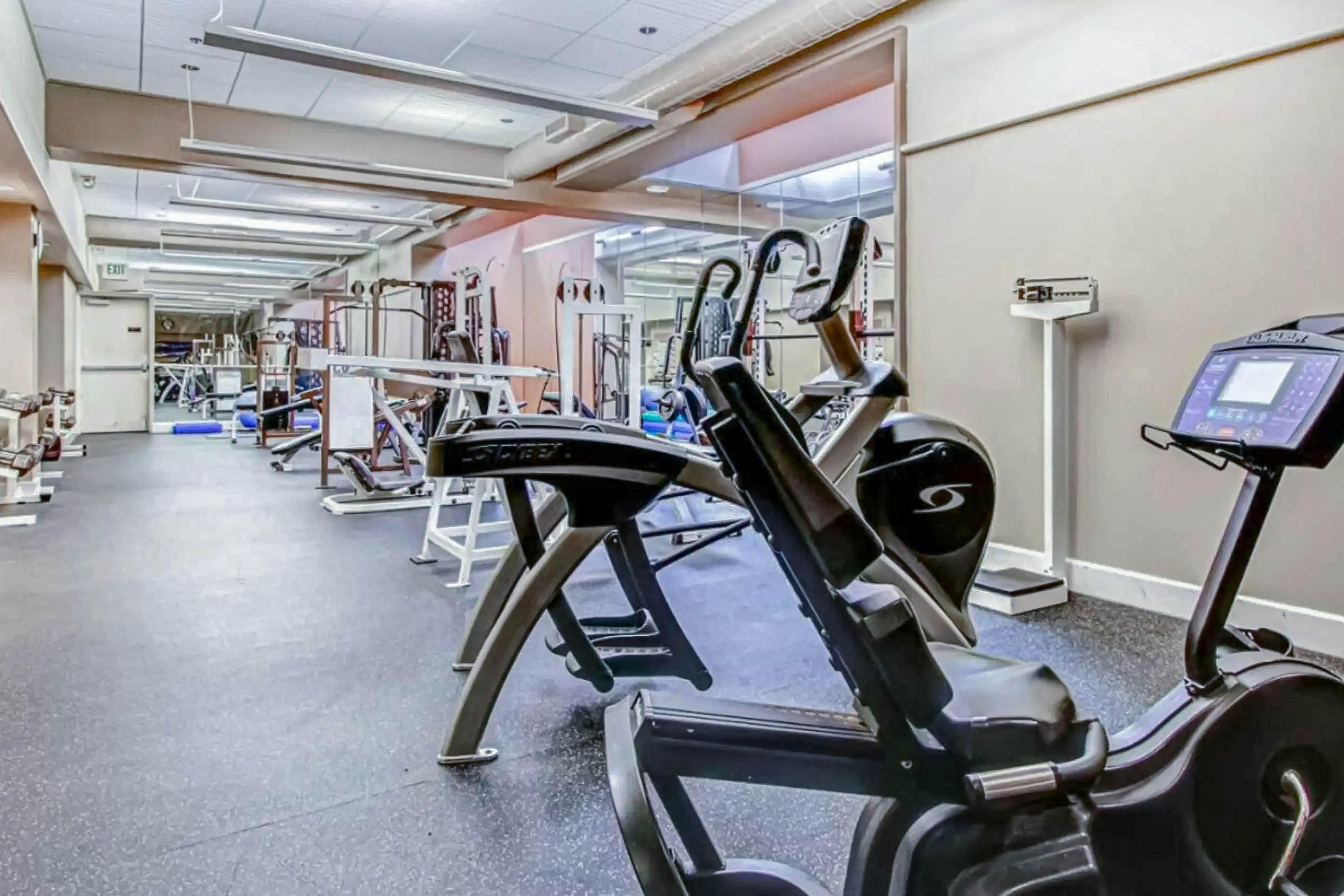 The Woods - Village-40