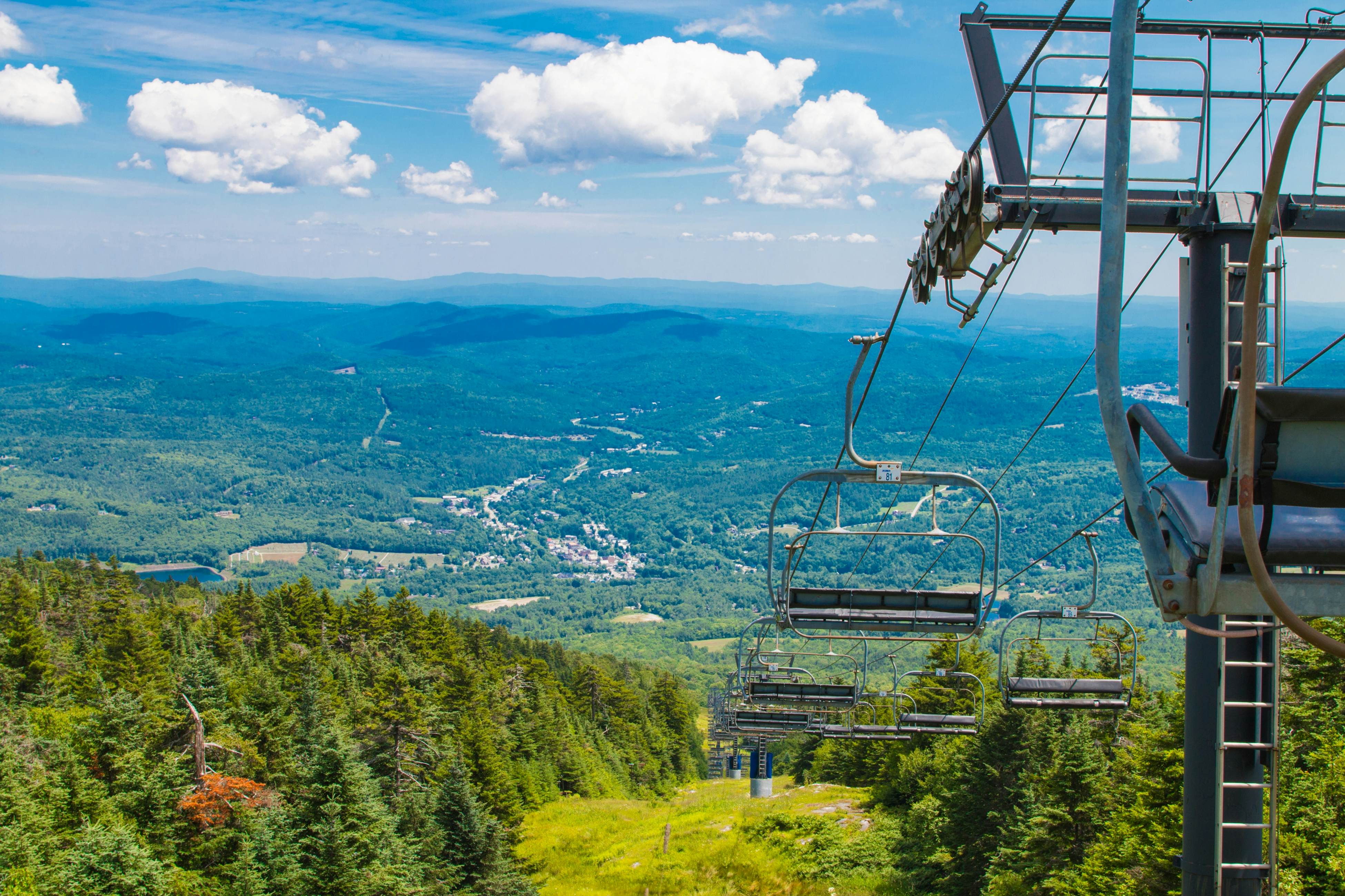 The Woods - Village-40