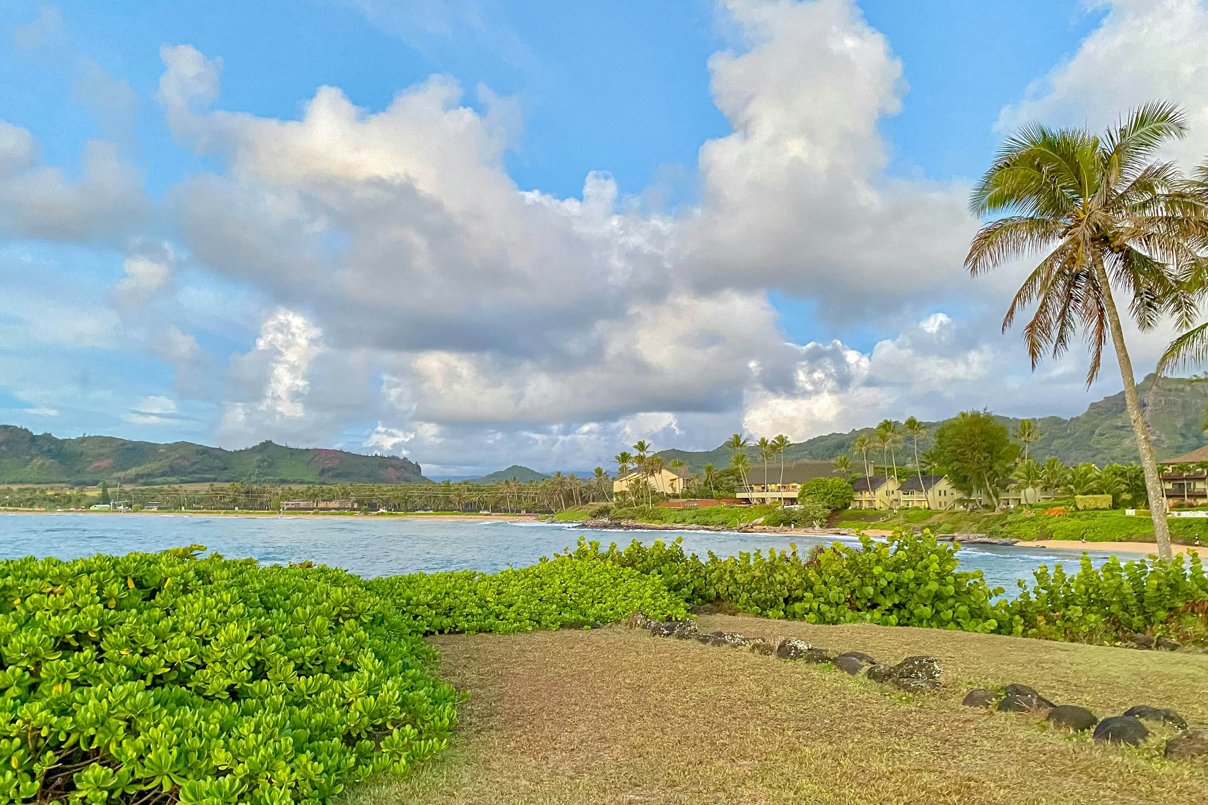 Islander on the Beach 164