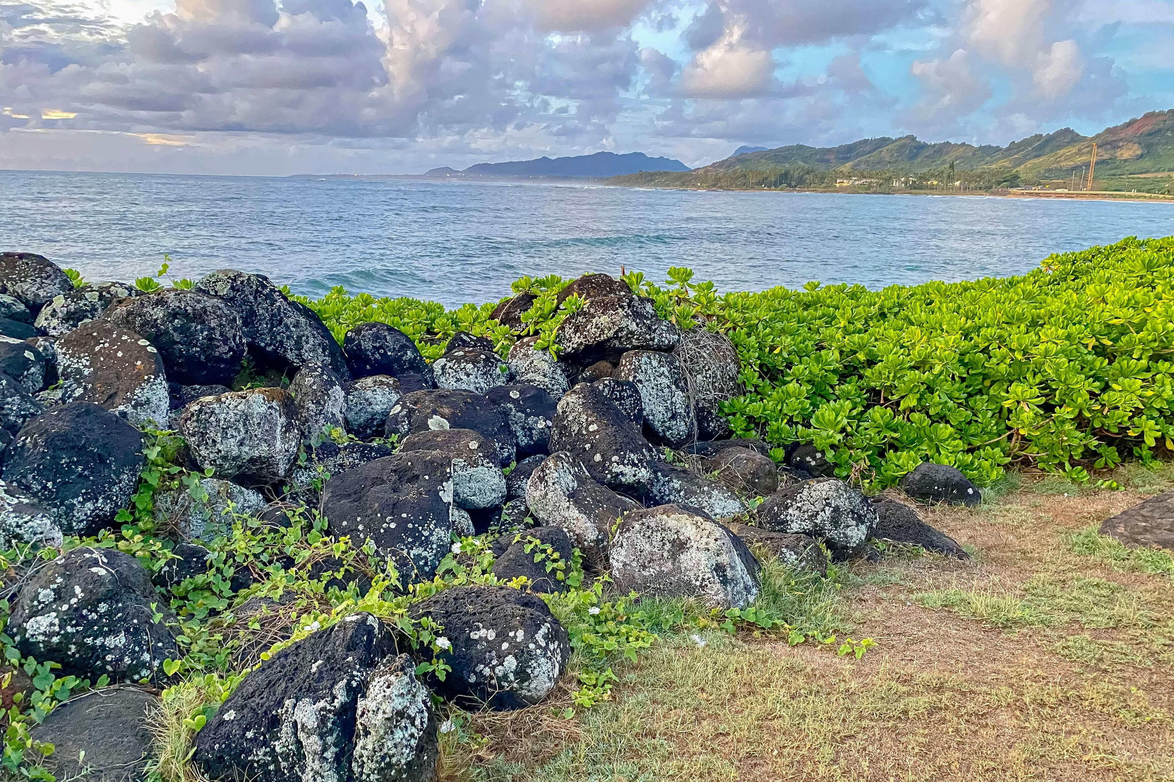 Islander on the Beach 164
