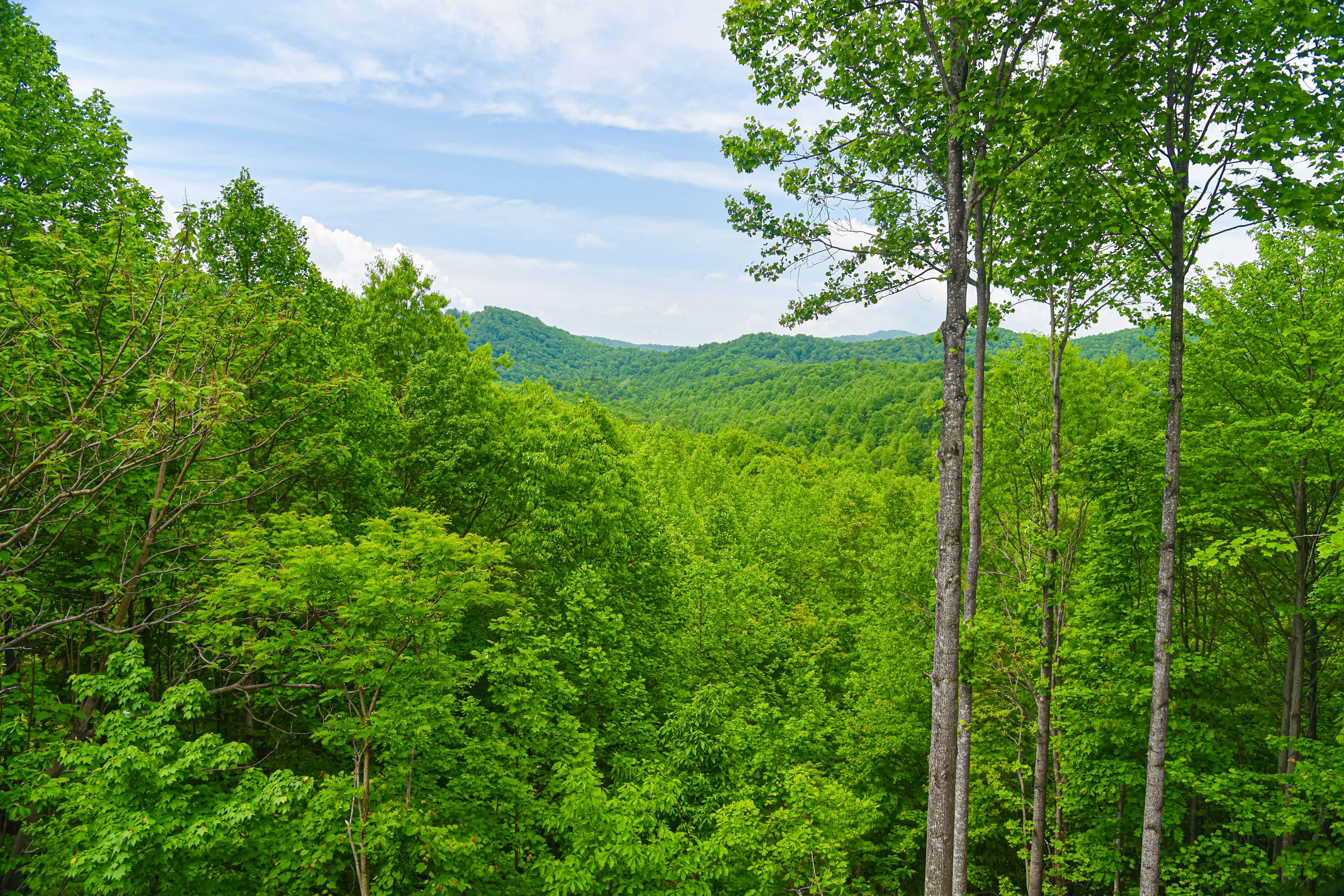 Sunset Mountain Lodge 