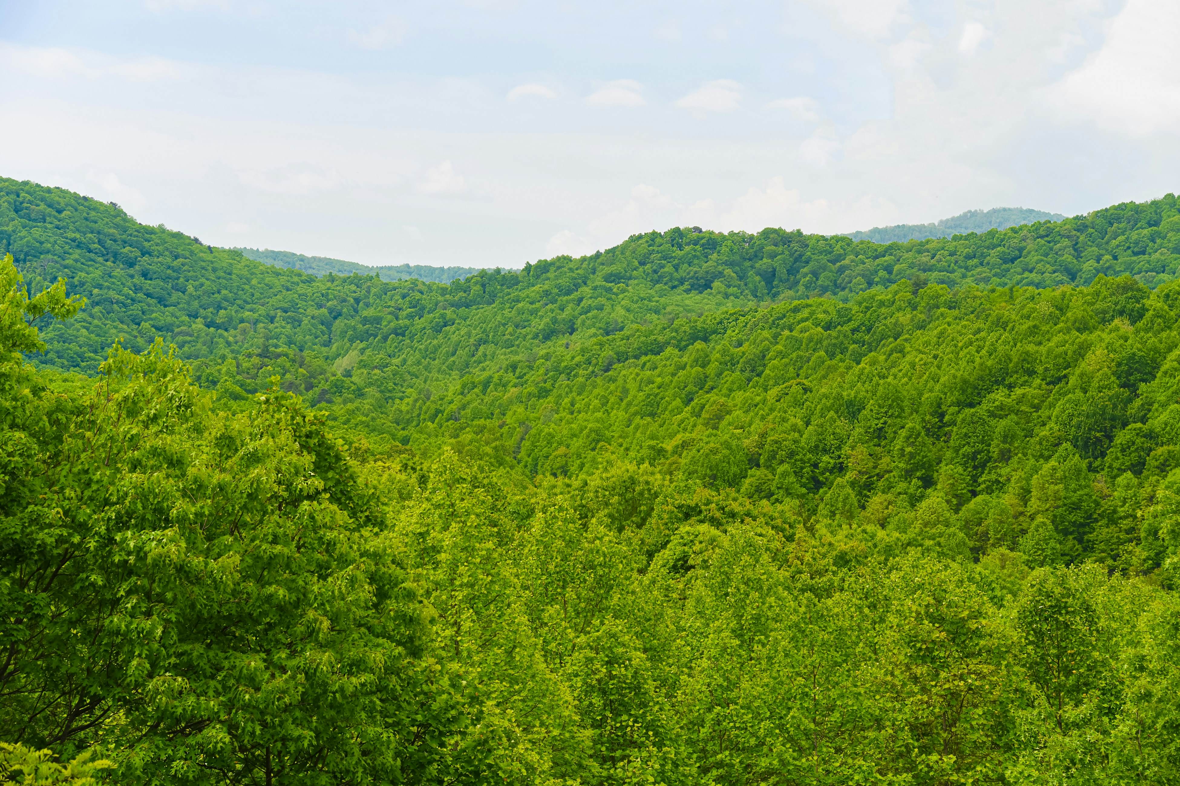 Sunset Mountain Lodge 
