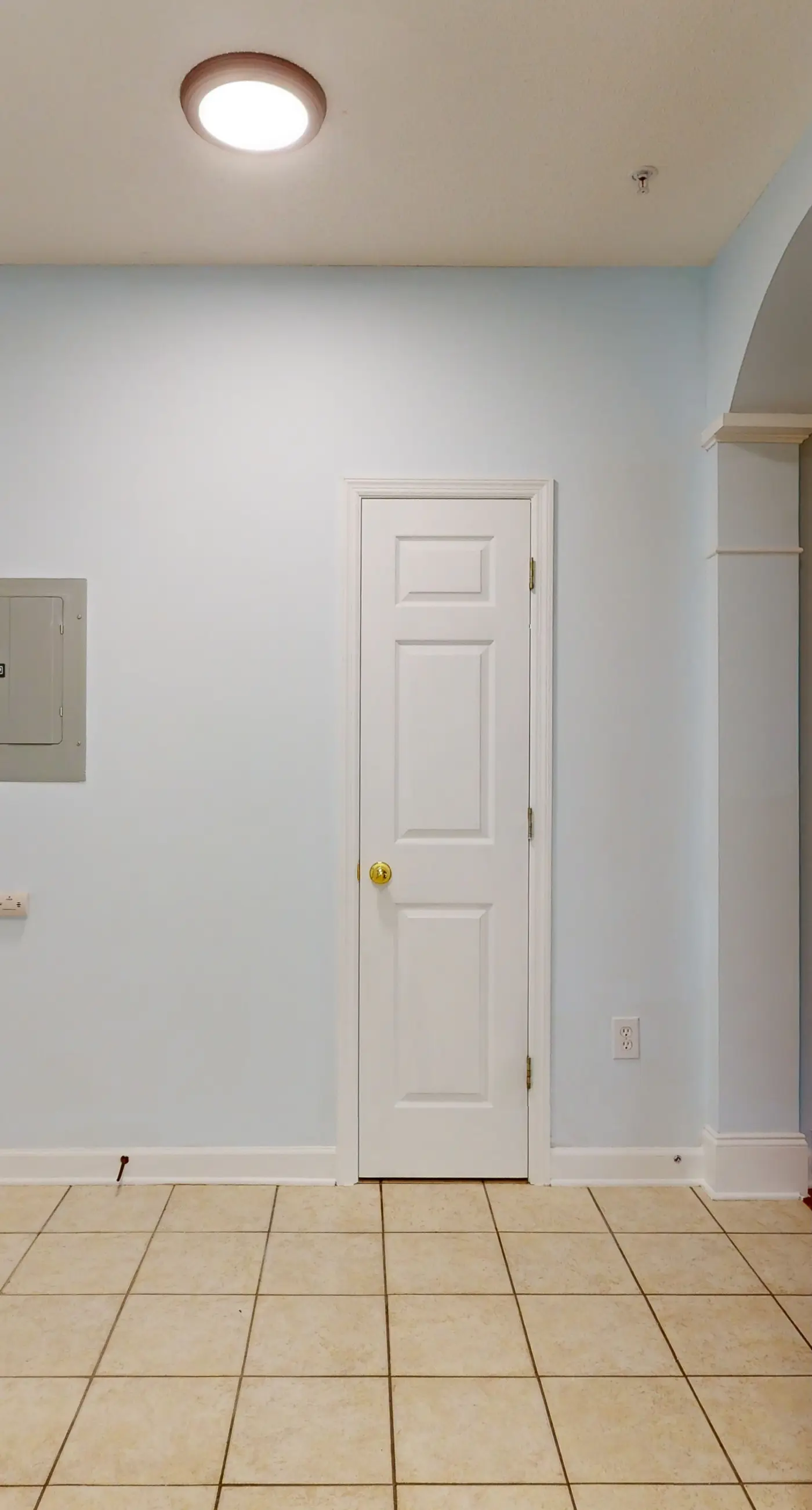 Ironwood - Turtle Beach