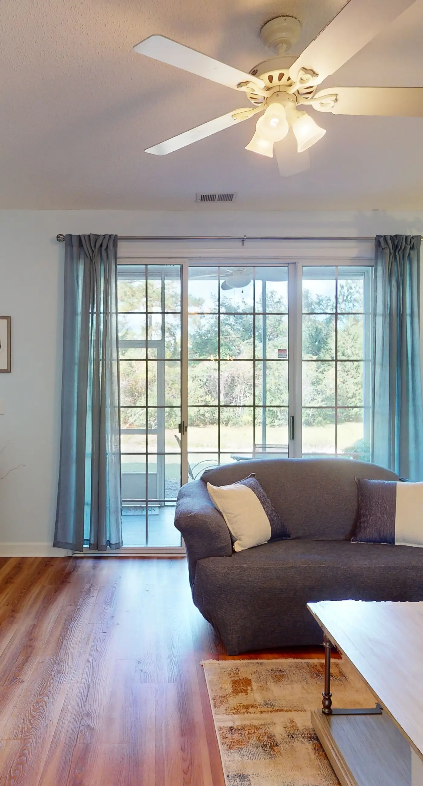 Ironwood - Turtle Beach