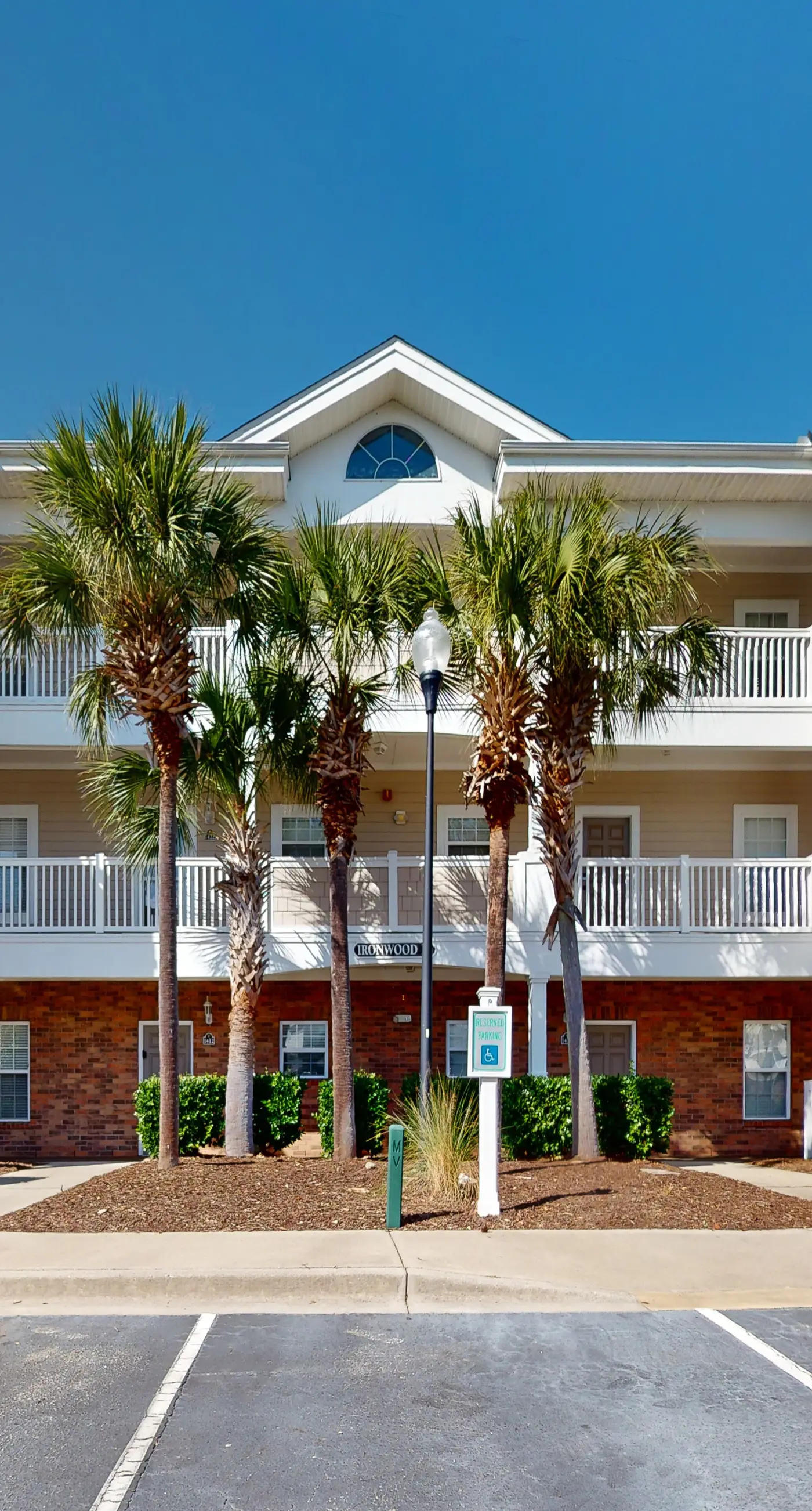 Ironwood - Turtle Beach