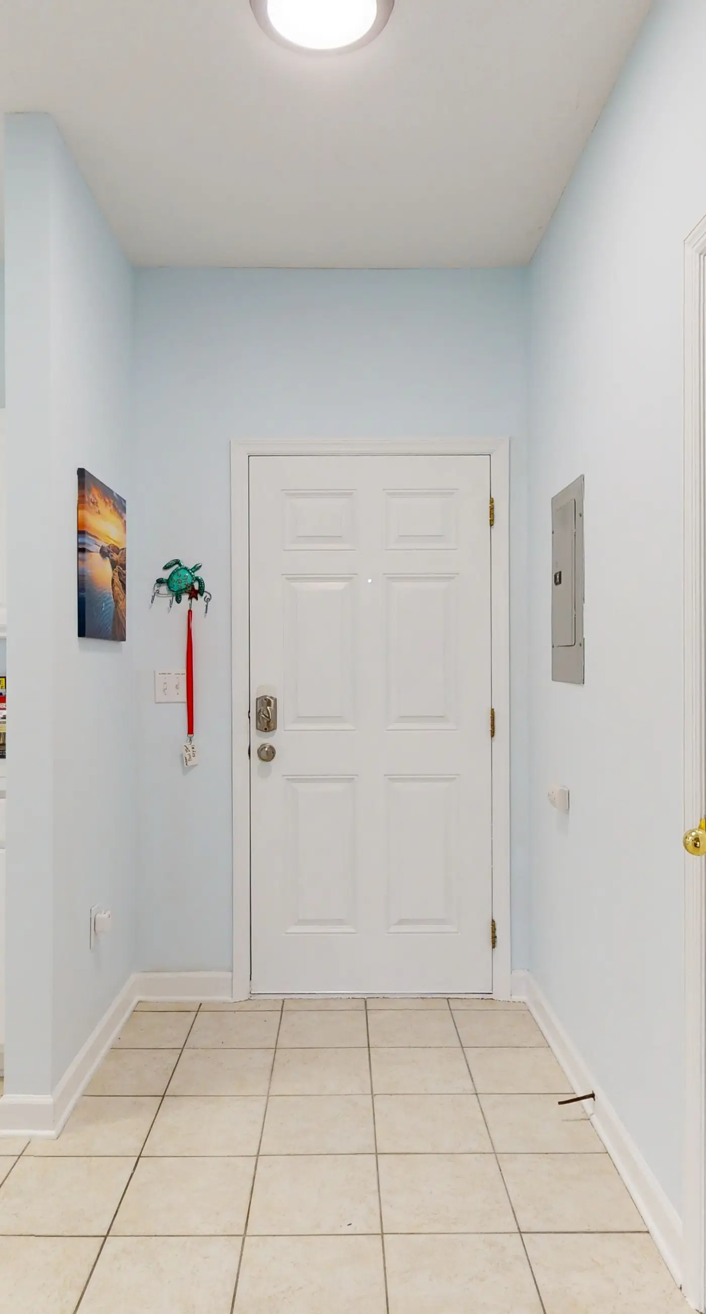 Ironwood - Turtle Beach