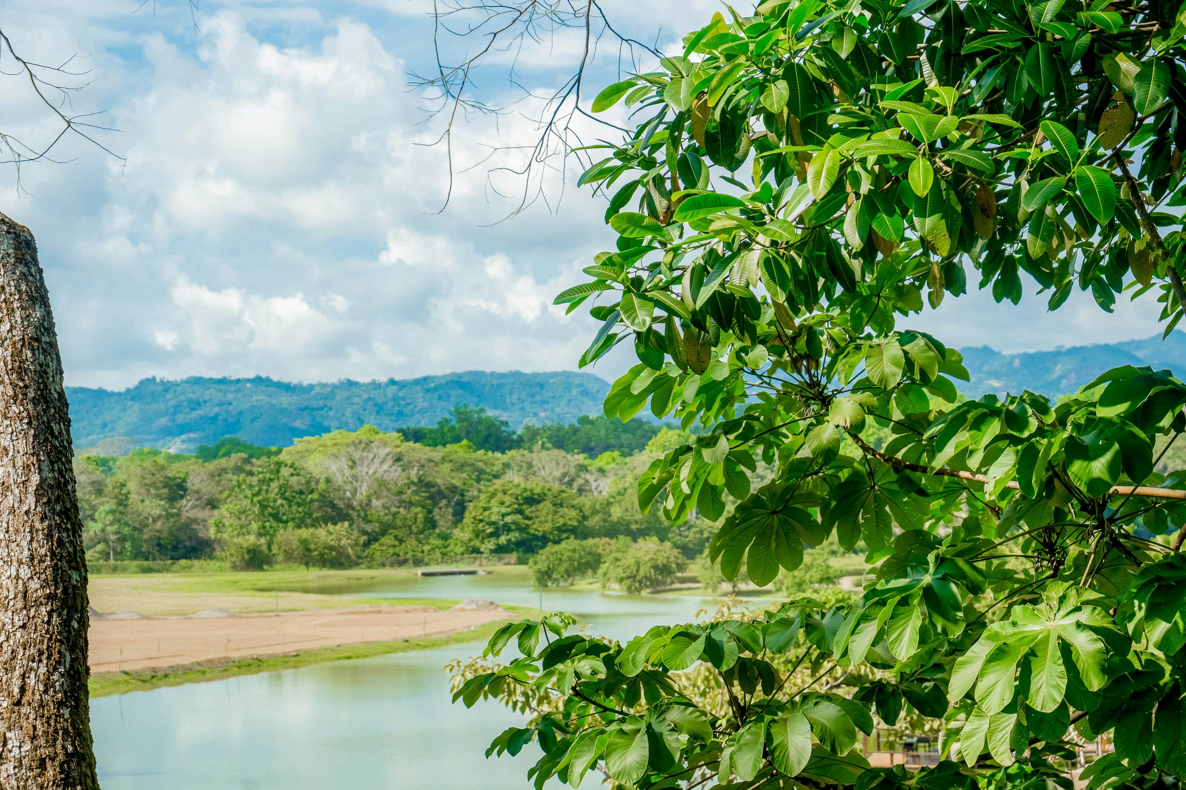 Mistico Serenity Shores at Nautilus