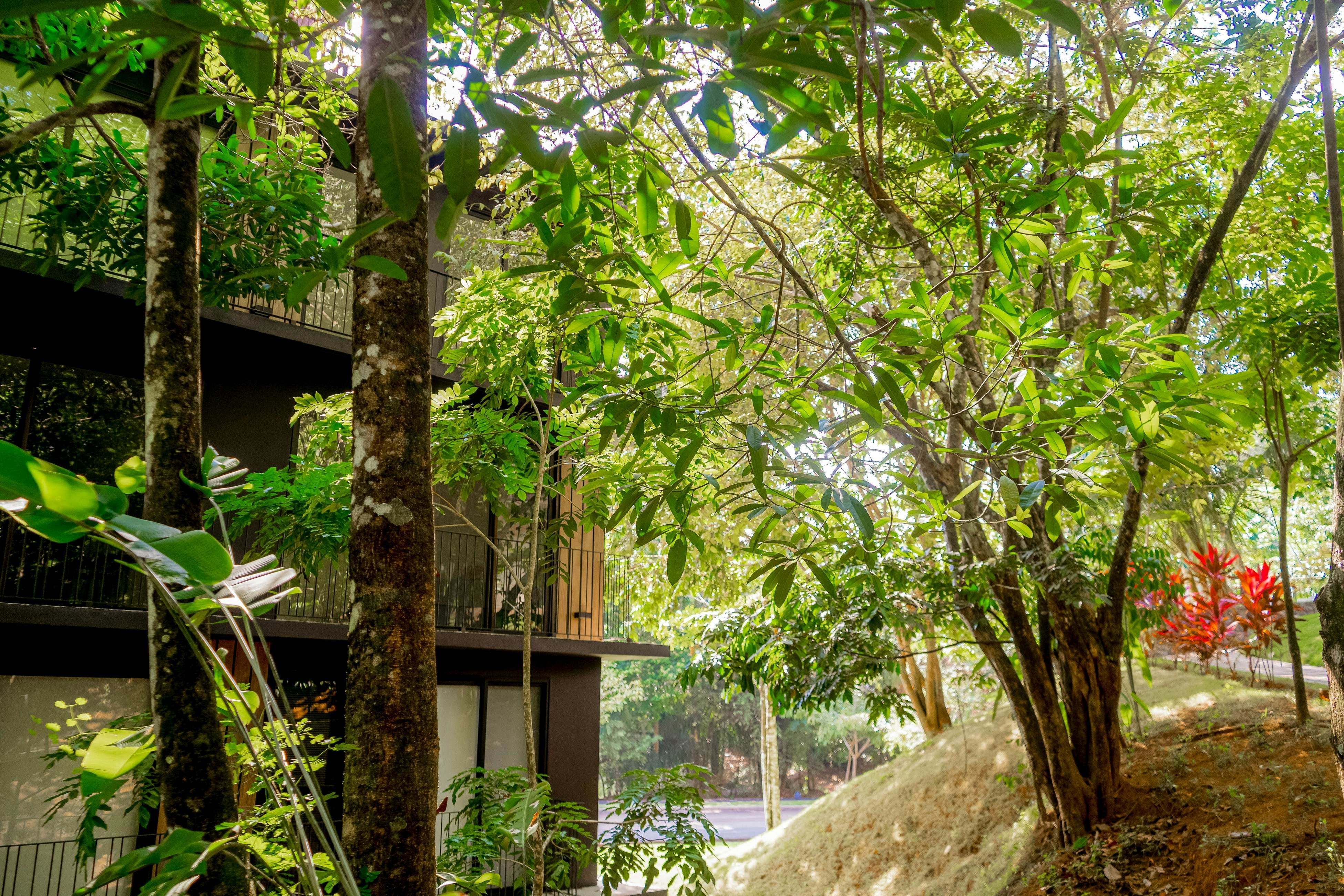 Mistico Serenity Shores at Nautilus