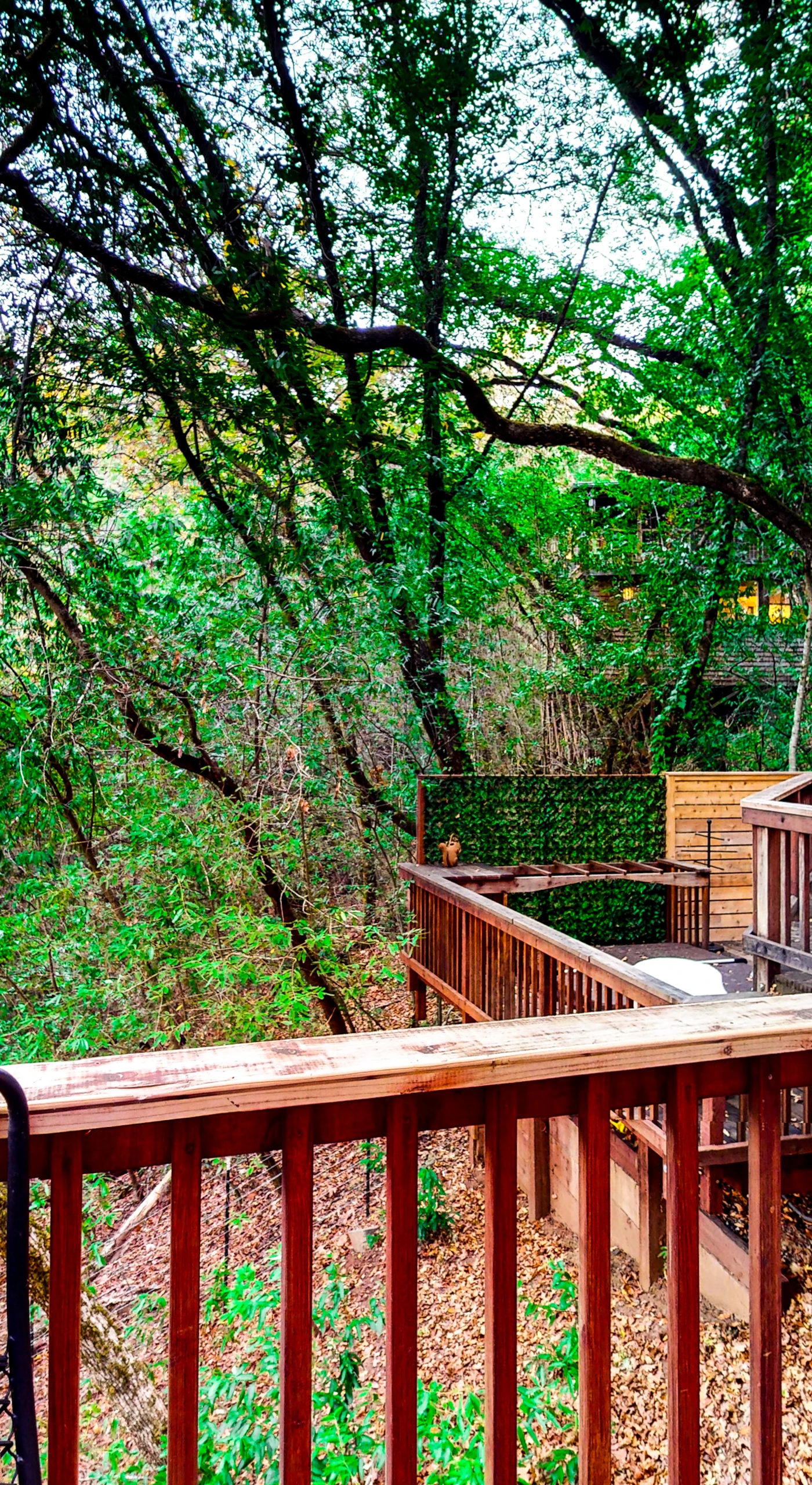 Wander your multi-level redwood deck surrounded by lush Sonoma County forest — every turn reveals another nook to sip your morning coffee or evening Pinot.