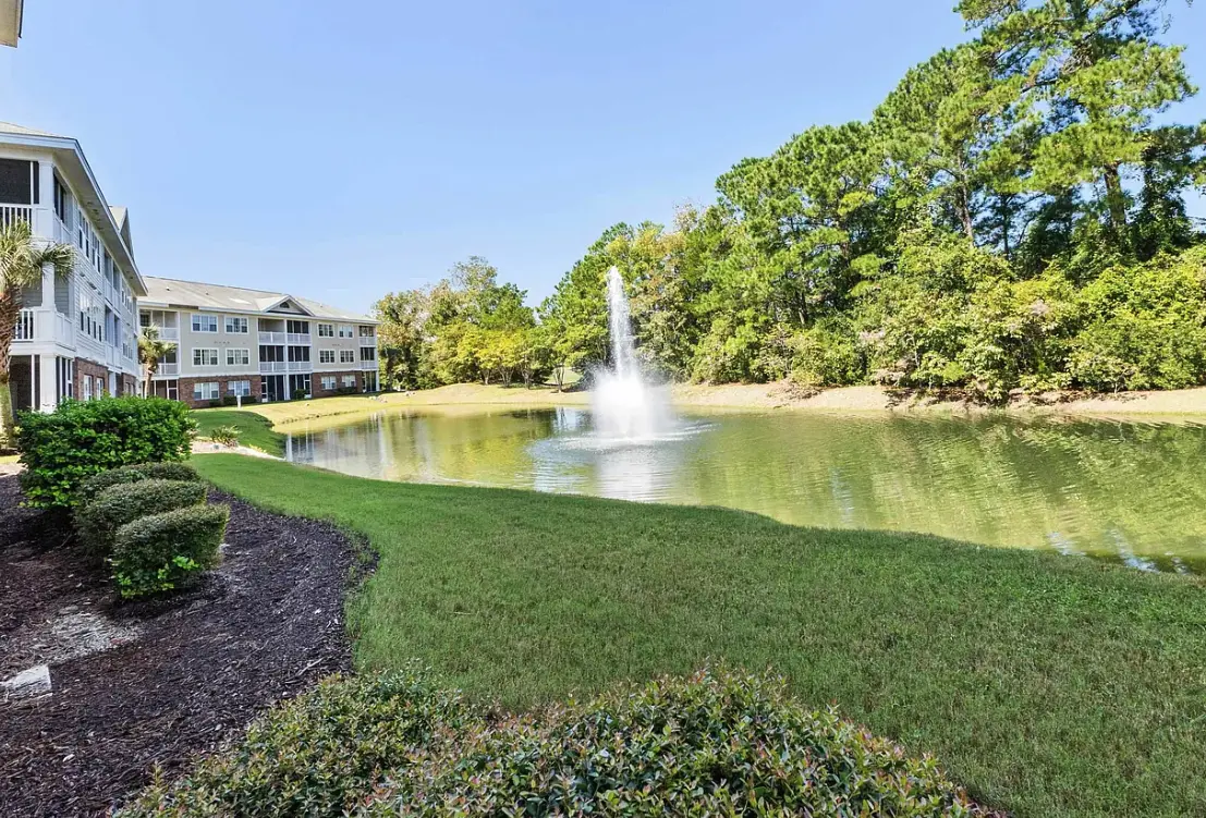 Ironwood - Turtle Beach