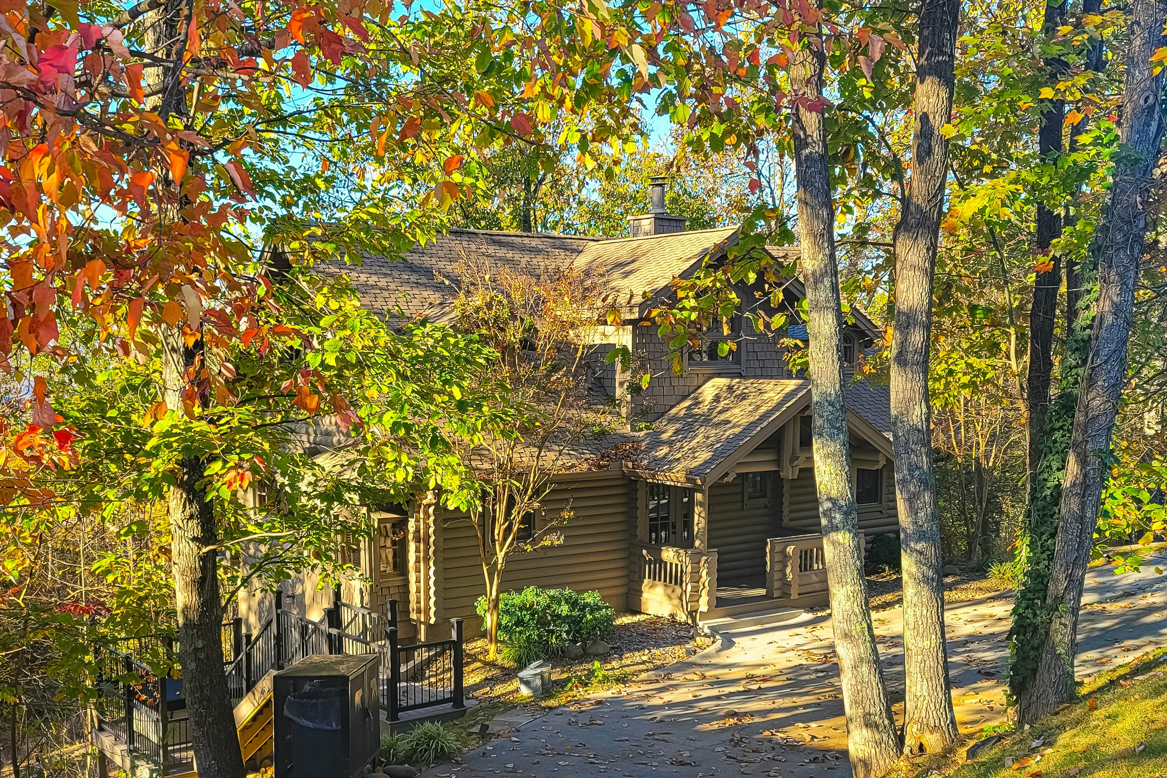 4 Pines Lodge