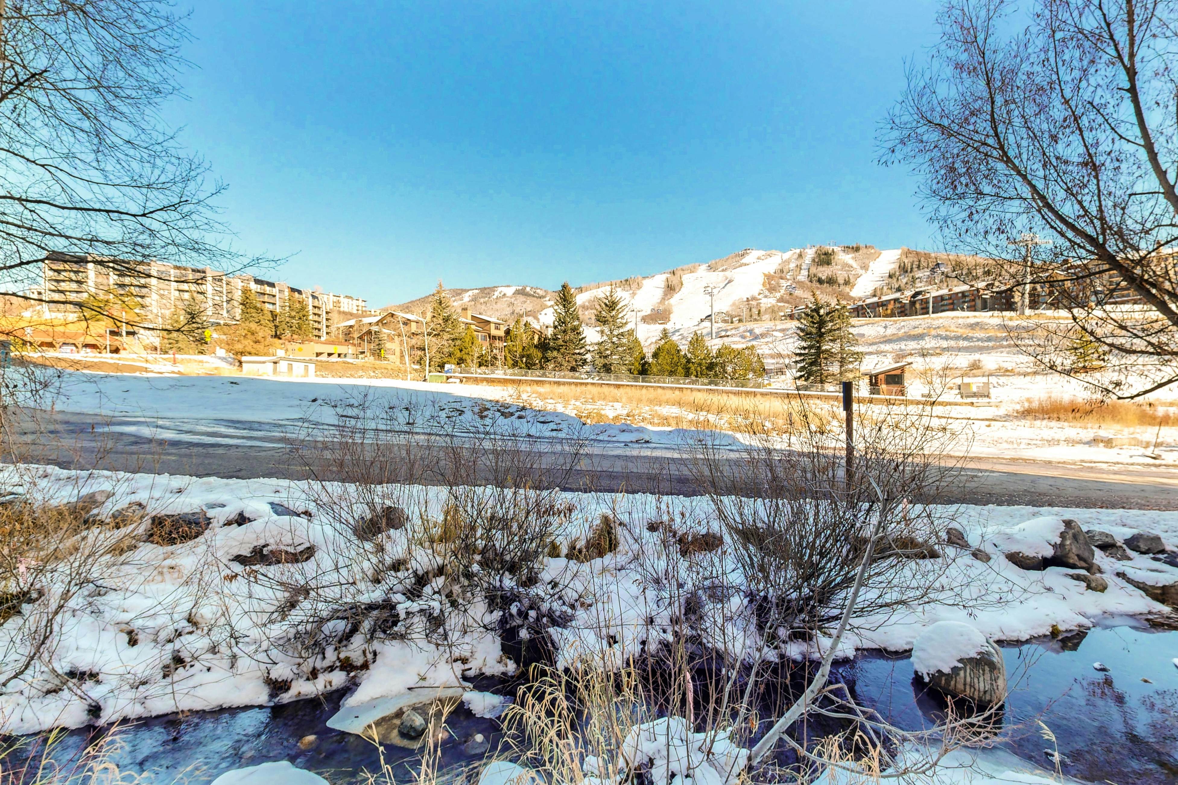 Torian Plum Creekside 112