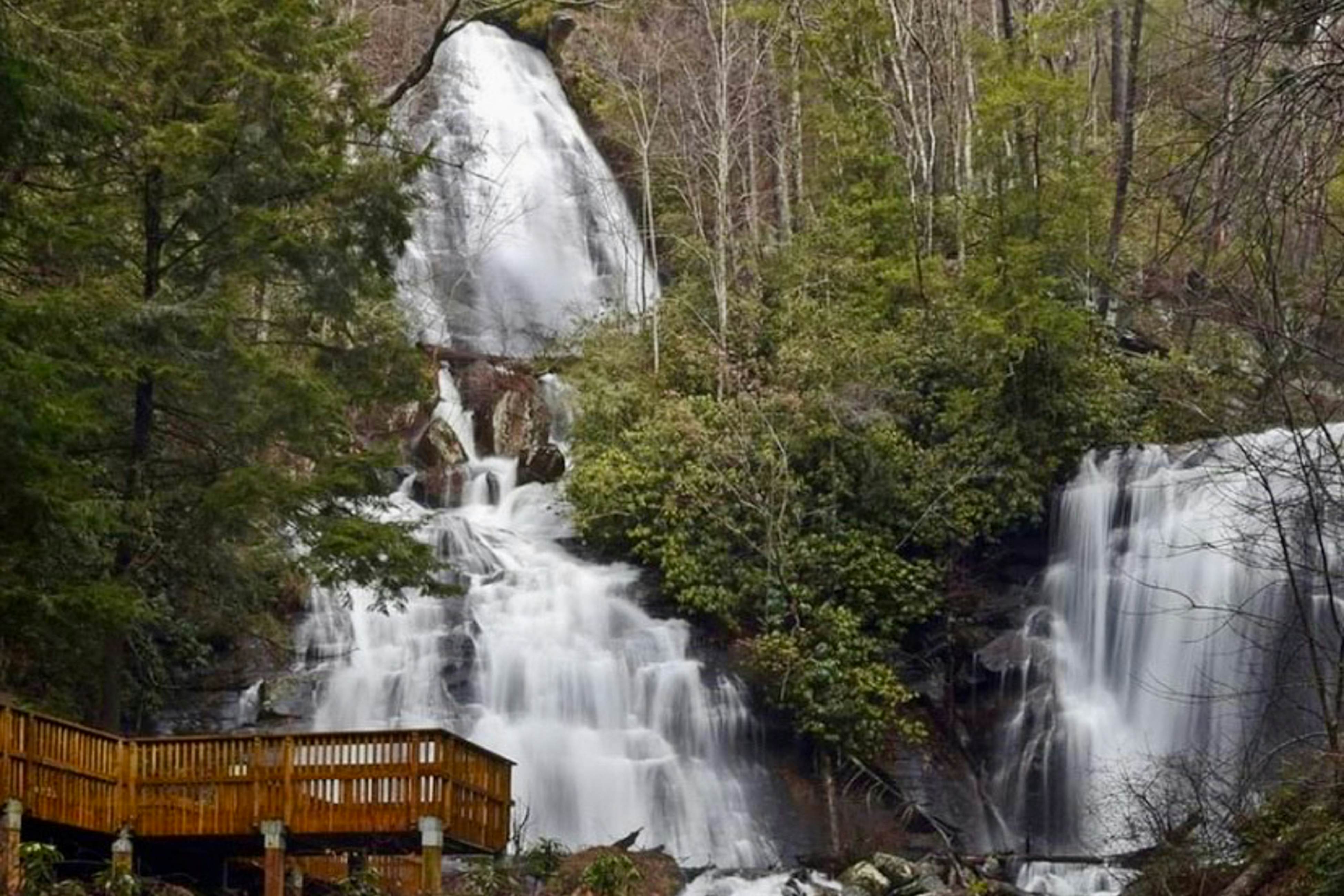 The Evergreen A-Frame