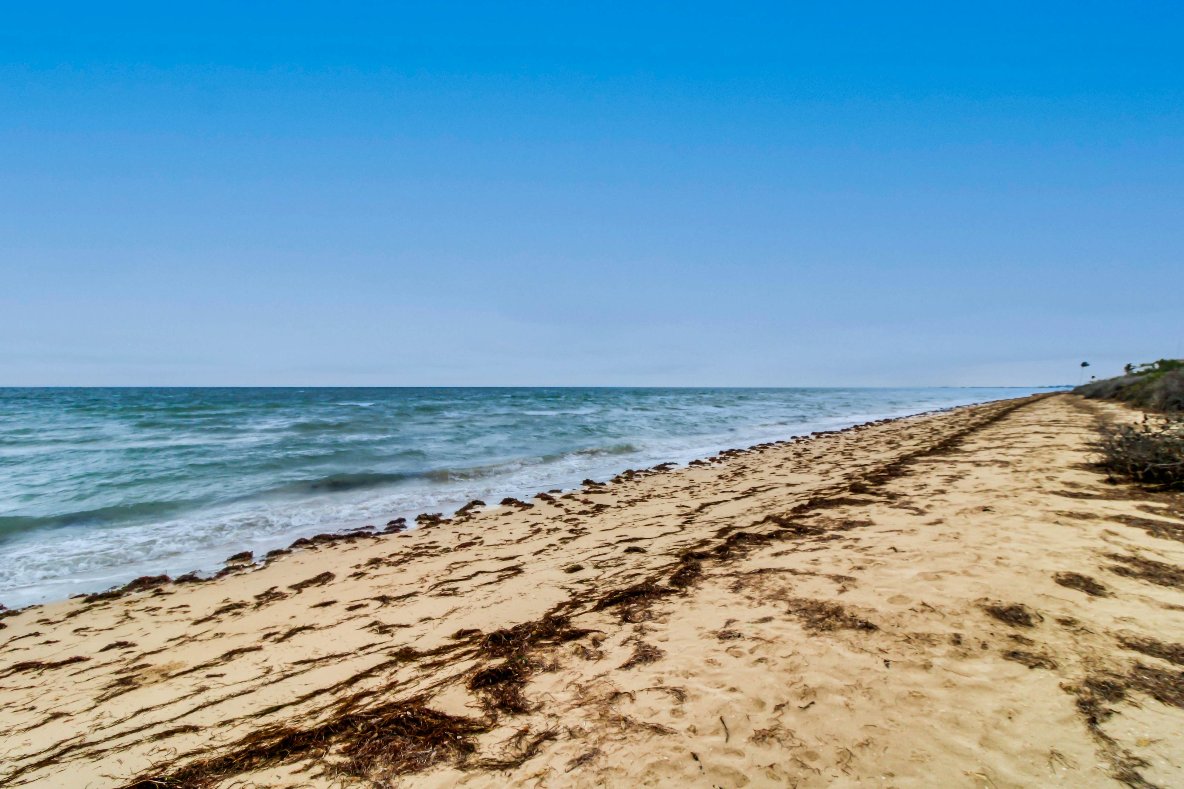 The Ocean Breeze Retreat