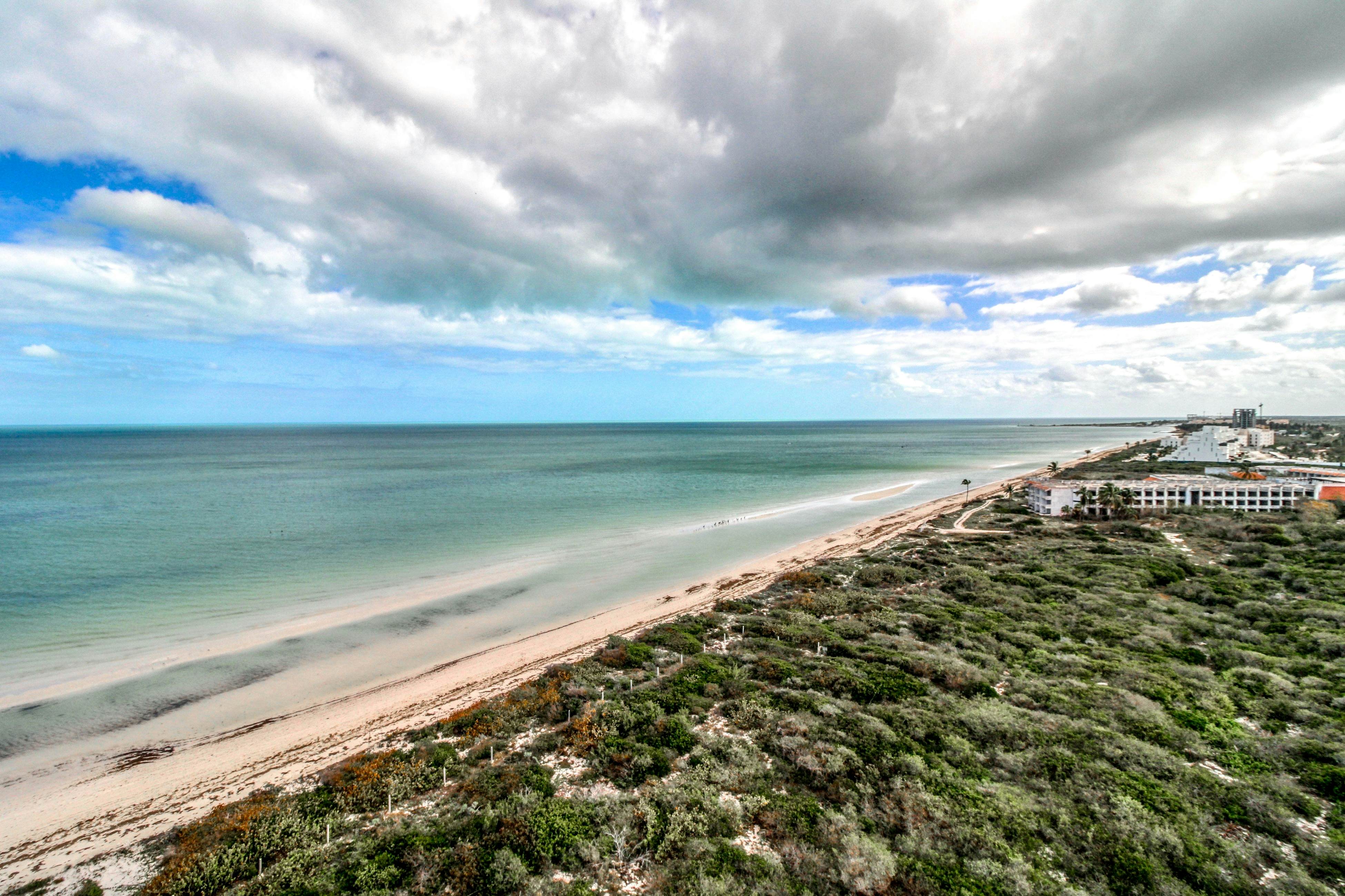 The Ocean Breeze Retreat