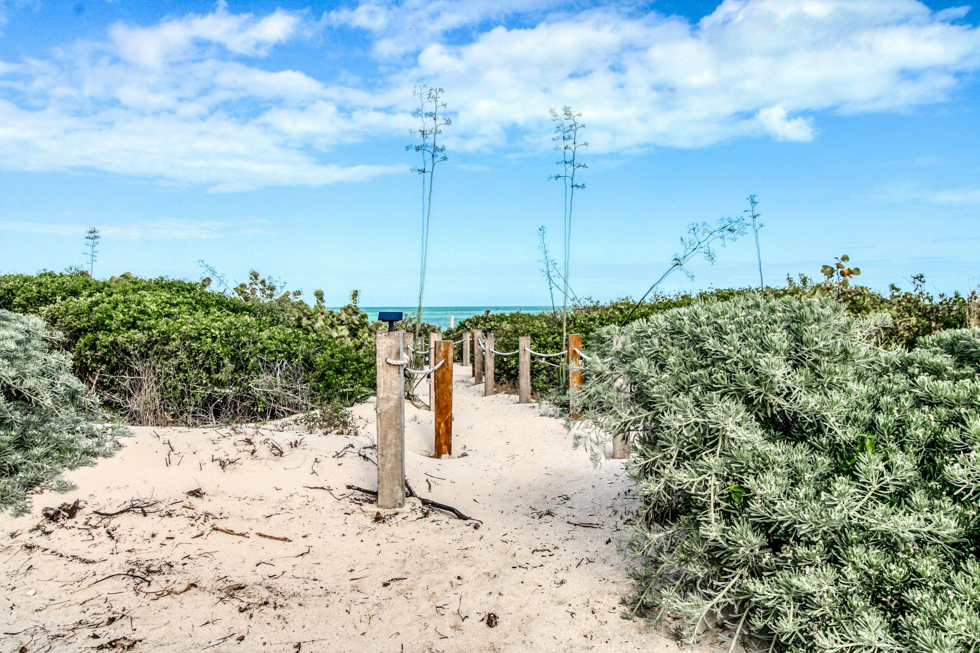 The Ocean Breeze Retreat