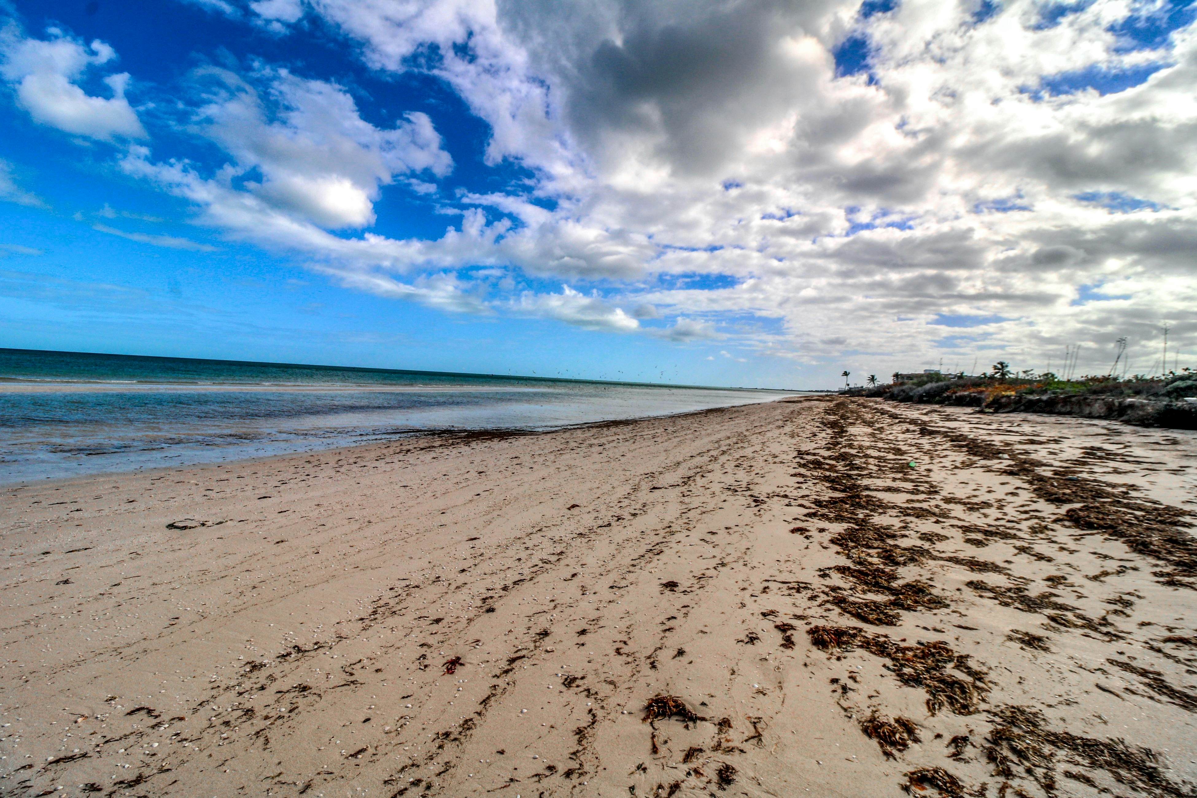 The Ocean Breeze Retreat