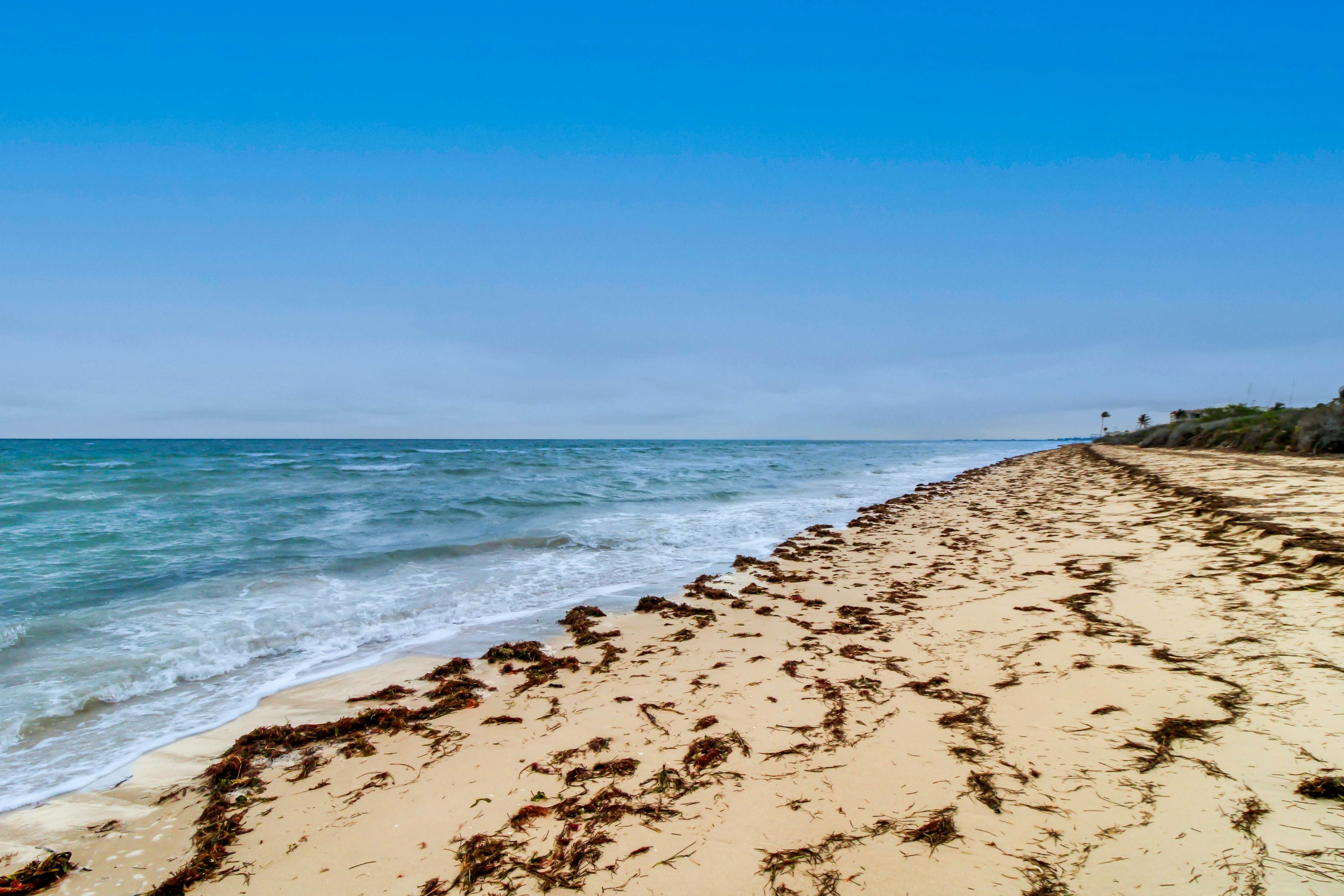 The Ocean Breeze Retreat