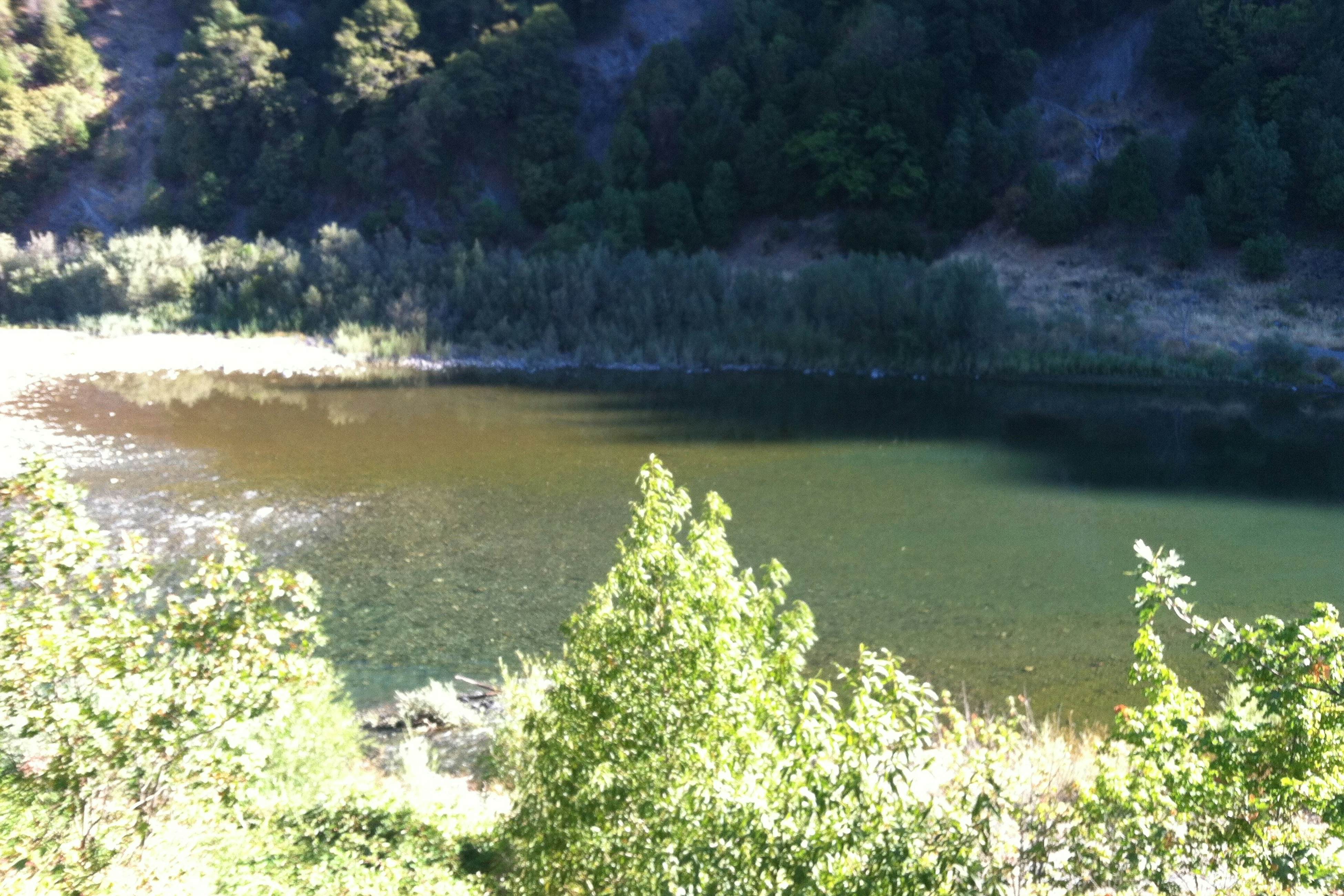 Trinity River Retreat