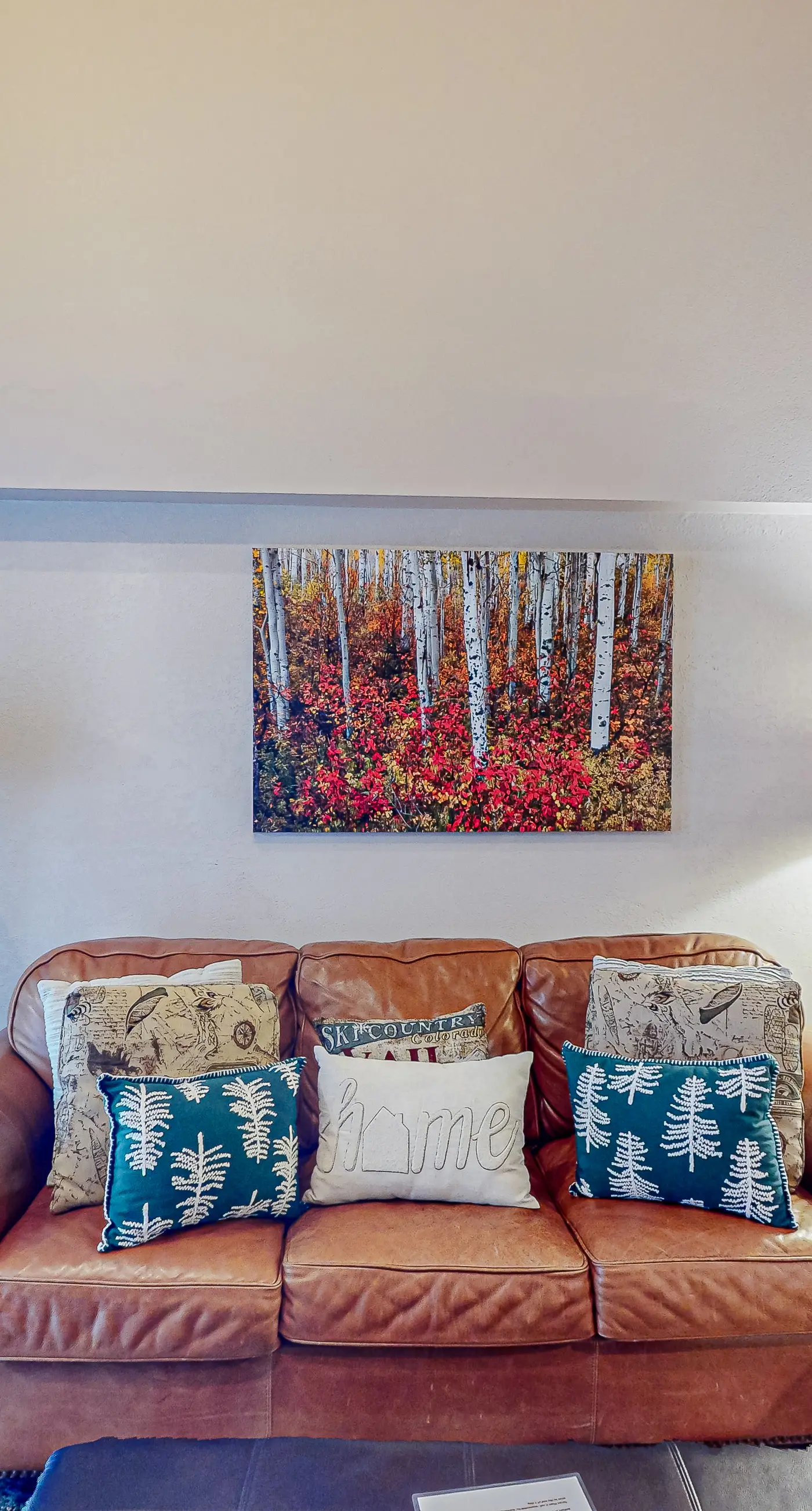 Torian Plum Plaza 606