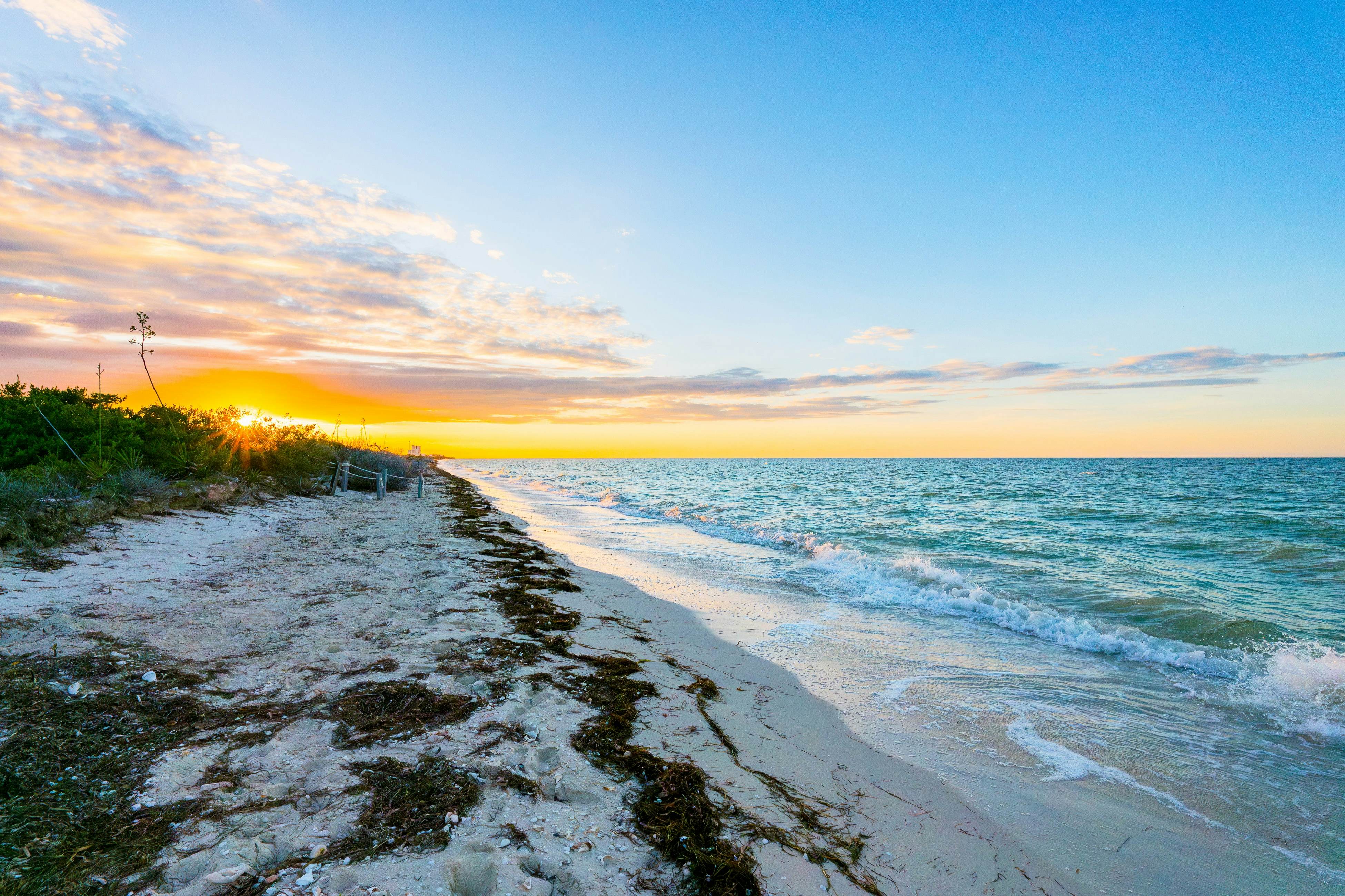 The Ocean Breeze Retreat