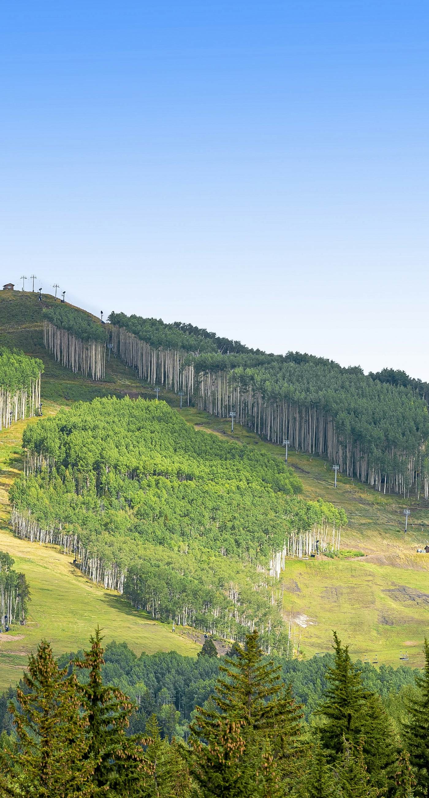 Lion Square Lodge South 372