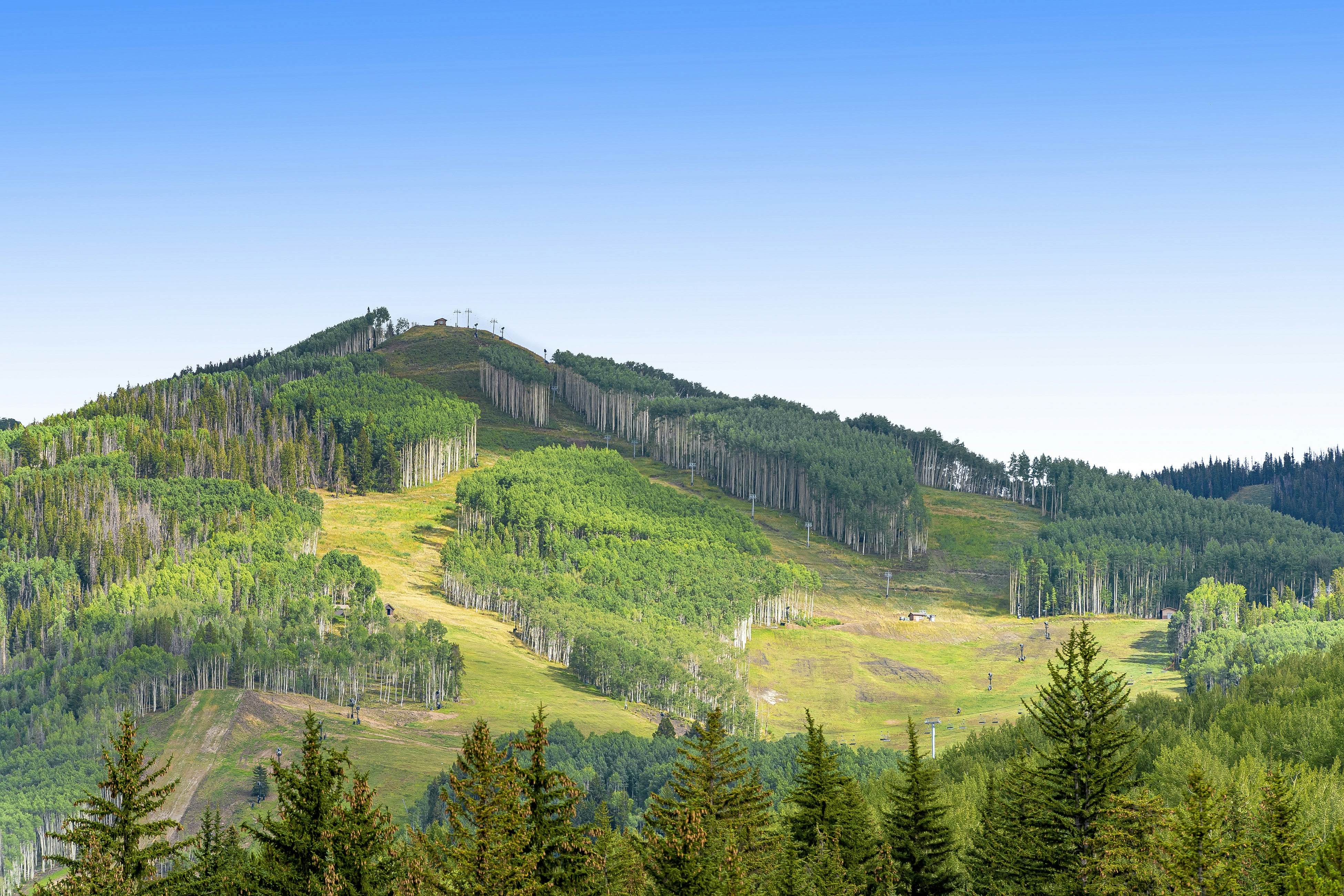 Lion Square Lodge South 461