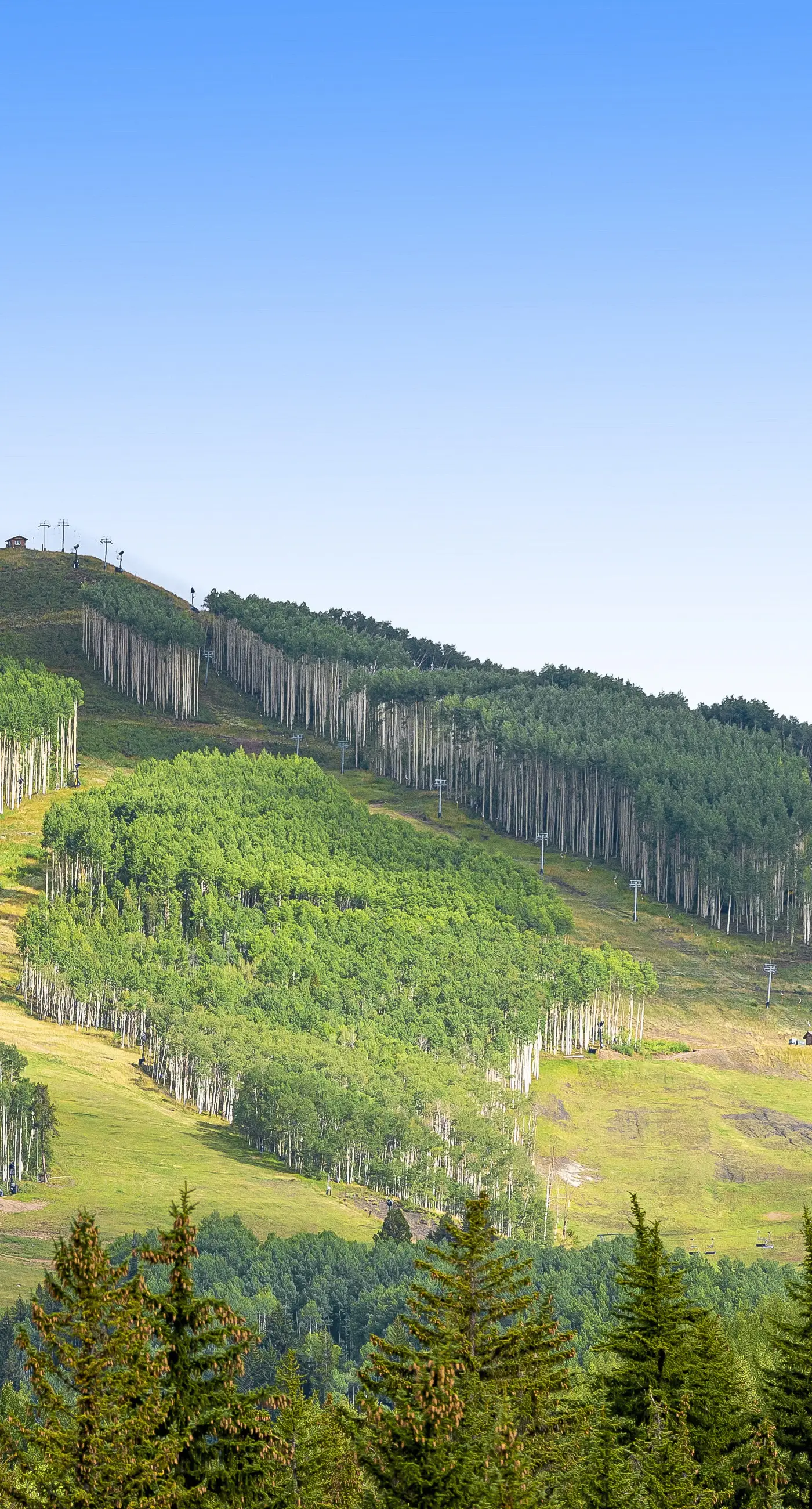 Lion Square Lodge North 190