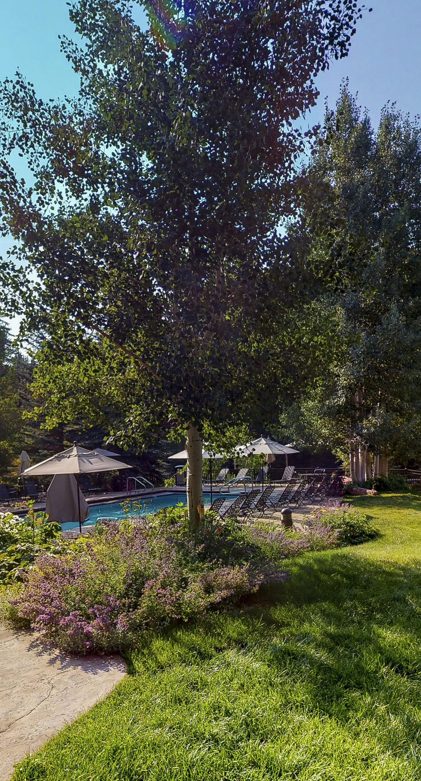 Lion Square Lodge North 190